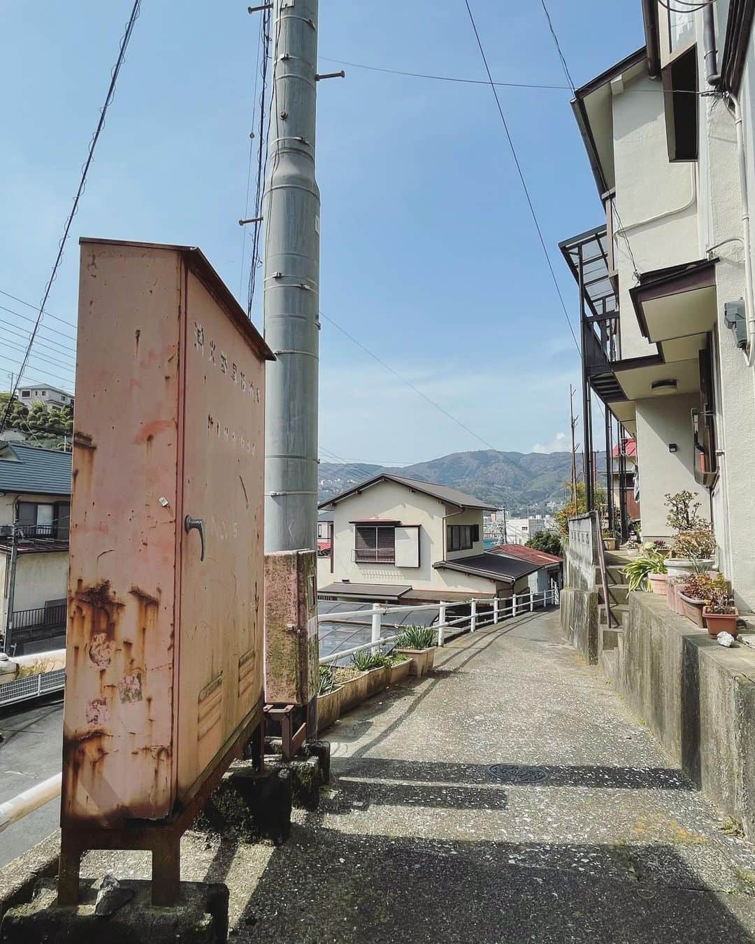 さんのインスタグラム写真 - (Instagram)「美しいものたち。  #伊東市 #伊東の暮らし #伊東のいいとこ #わたしといとうと #ito #izu #japanview」7月5日 13時17分 - fujimoriai