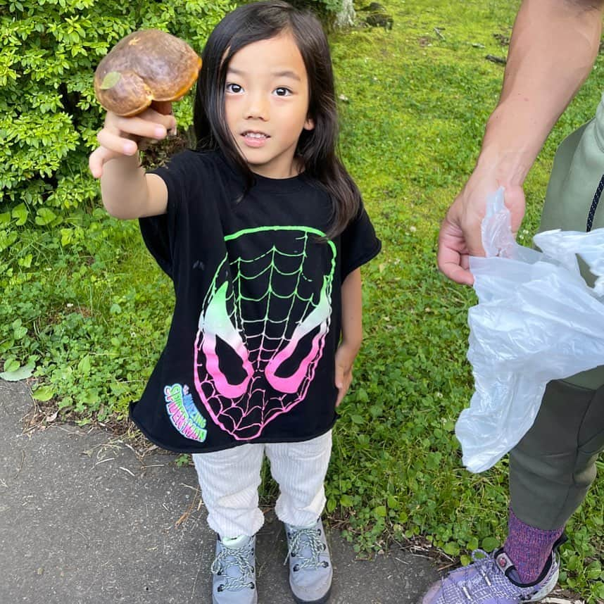 菅井悦子さんのインスタグラム写真 - (菅井悦子Instagram)「シーズンイン🍄しました🥹 今始まったばかり。 10月くらいまで…… 長いな🤗 お付き合いしてくださる方がいたら、いつでもご連絡下さい😊  #きのこ#🍄 #mashroom  #japan」7月5日 13時28分 - etsuko313