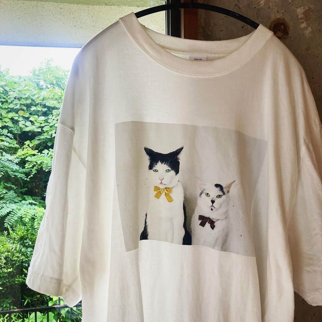 のインスタグラム：「7月7日から9日までの、大阪中津で開かれる、ひにけに蚤の市にパンチョとガバチョTシャツ、置いて頂きます。色は白、ベージュ、ピンク。サイズは120、M、XXLです。詳しくは、　@hinikeni_nominoichi を見てください。よろしくお願い致します！  #パンチョとガバチョ」