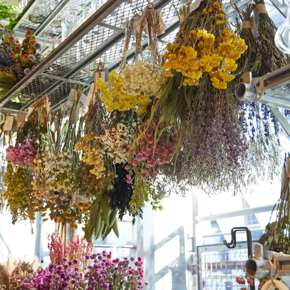 TODAY'S SPECIALのインスタグラム：「<Futakotamagawa> 　　 部屋に花を飾りたいけれど 暑くなってくると、生花のもちが悪くなるのでは…と、あきらめがち。 　 そんな時には、ドライになっても楽しめる花を選んだり きれいな色のドライフラワーを飾ってみませんか。 　 かたちも色も、いろんなドライフラワーをご用意していますので 暑い季節も花をたのしみましょう。 　 @cibone_ts 　 ------------- 　 #todaysspecial #トゥデイズスペシャル #高島屋sc #futakotamagawa #二子玉川  #玉川高島屋ショッピングセンター #ドライフラワー #ドライフラワーのある暮らし #ドライフラワーインテリア」