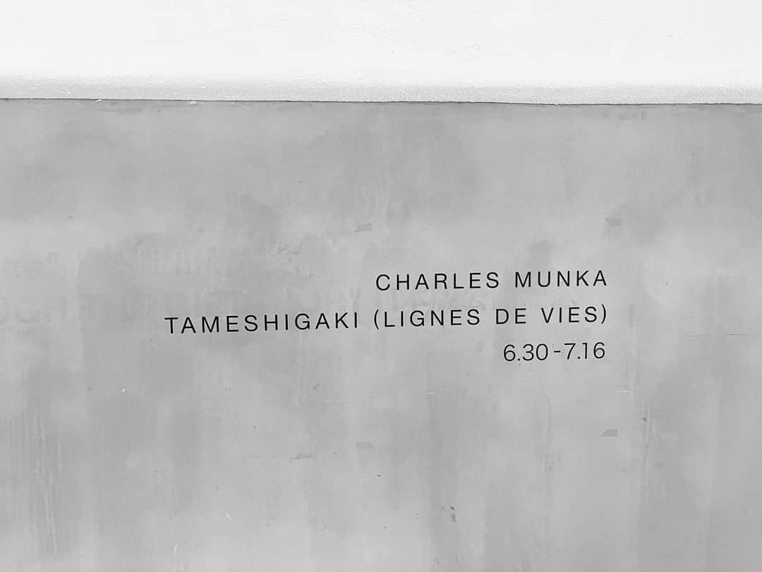 外山輝信さんのインスタグラム写真 - (外山輝信Instagram)「Charles Munka（シャルル・ムンカ） “TAMESHIGAKI” 06/30 - 07/16 @charlesmunka   日本で活動するフランス人作家シャルル・ムンカの展示。 この作品は筆記具売り場にある試し書きを拝借して、そこにある文字や線や絵をキャンバスの上に描いているそうです。だからドラえもんやアンパンマンが、ちょこちょこ登場するのか。 実際の試し書きもあり、比較して見せてもらうと、ただ拡大しているわけではなく、サンプリングの流れも見えて面白かった。 作為と無作為、意識と無意識の線が、心地よいカオスです。  INS STUDIO（アイエヌエス・スタジオ） 東京都渋谷区円山町28-8 B1F INSは I Need Sunshine の略だそうです。スペースが地下（元駐車場）なので。 @ins_stud.io  ※展示されていない作品もあり、スタッフに声をかけると見せてもらえます」7月5日 13時52分 - terunobu_toyama