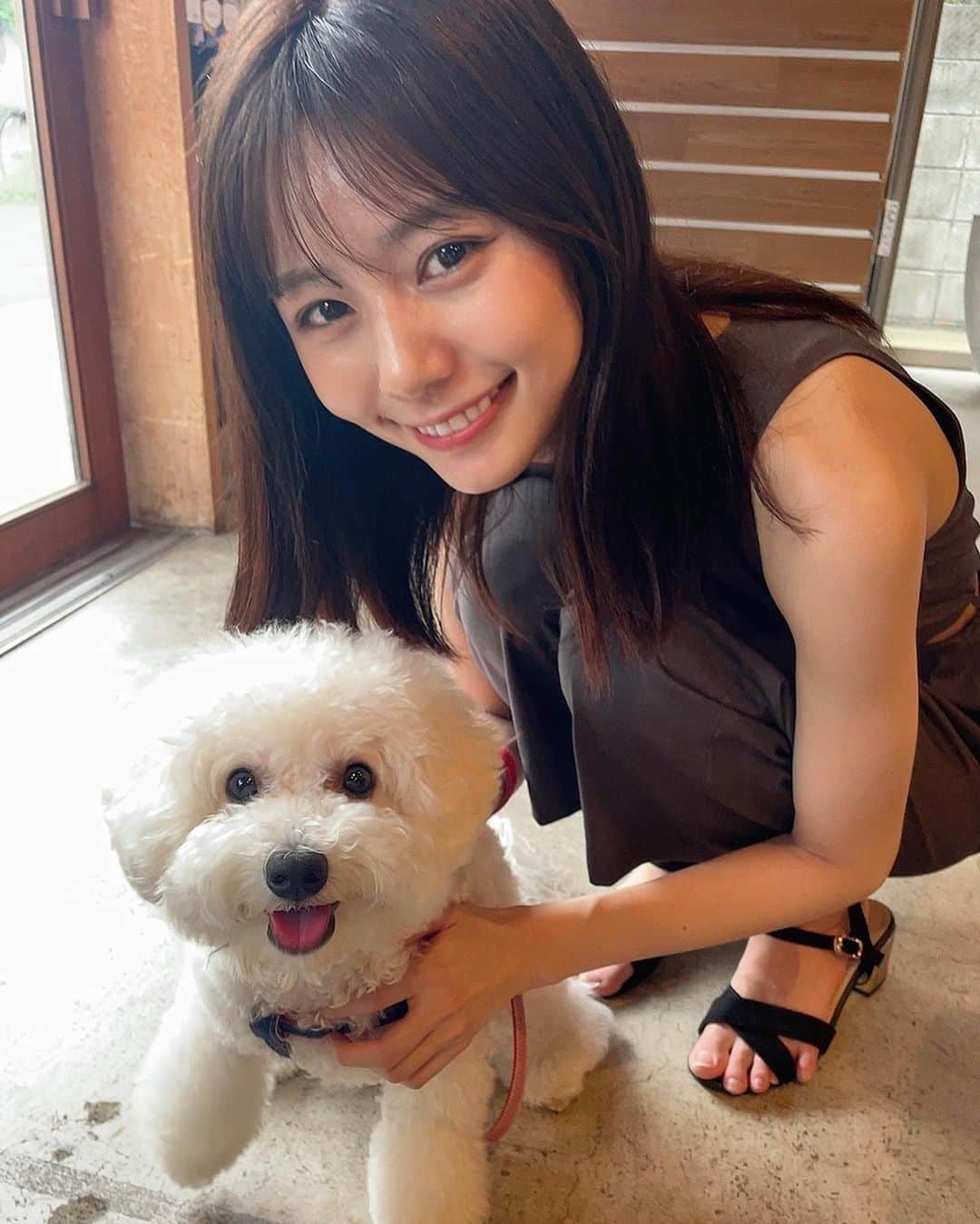 杉浦みずきのインスタグラム：「. らむねとのさいっこうの写真が撮れたーー☺️☺️ お気に入り🫶 らむね東京来てくれてありがとうね また素敵な思い出がたくさん増えました✨ 愛おしすぎてらむねに大好きっていっぱい伝えた😂  #ビションフリーゼ #愛犬 #ぬいぐるみじゃないです本物です」