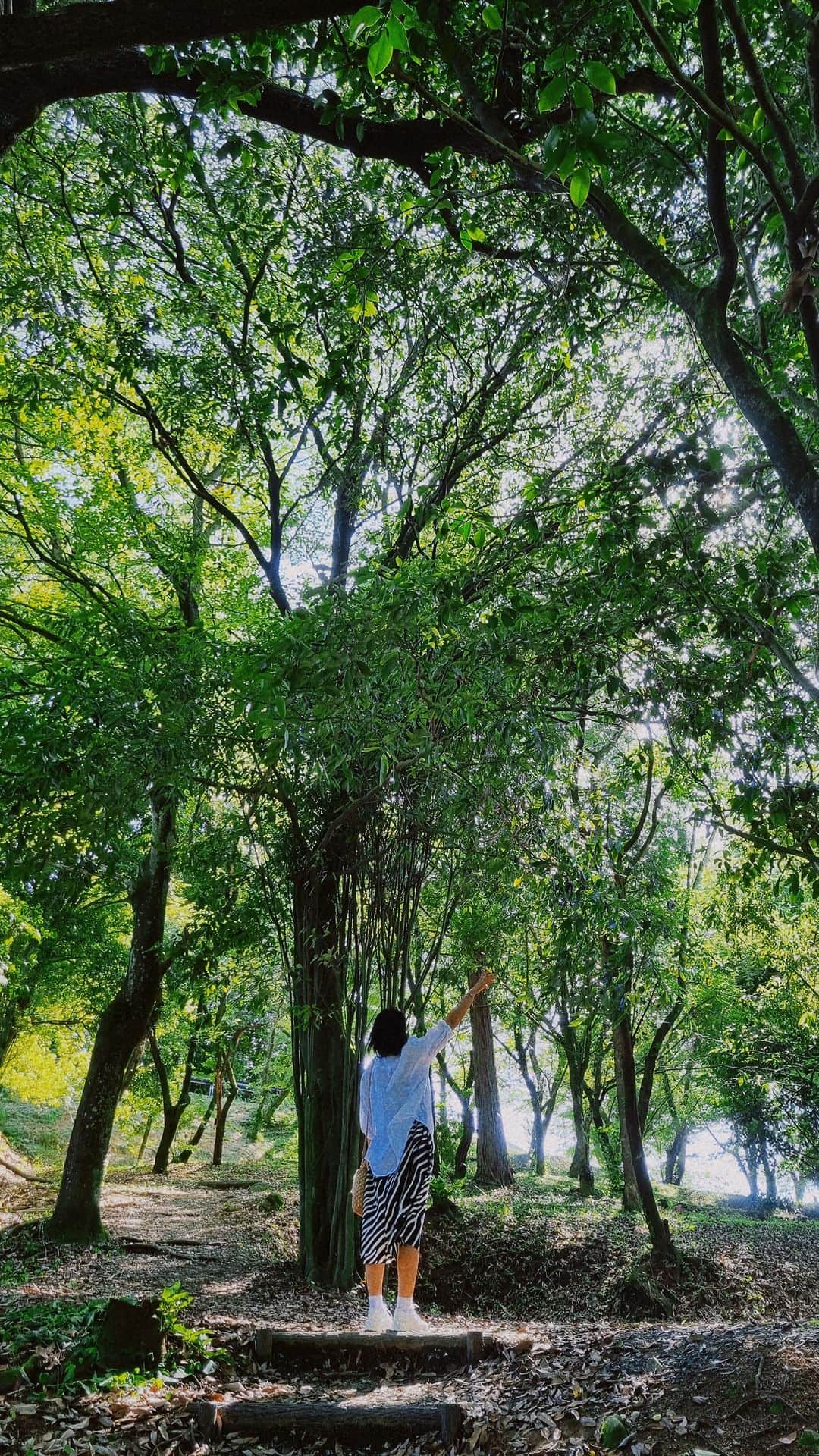 二宮愛のインスタグラム：「九州旅行の思い出🥰 #恋をして を使って、リールにしてみた。  ベトナムのインター時代の韓国人の親友２人と、4泊5日の九州旅行✈️ #湯布院 #地獄温泉 #浮羽稲荷神社 #柳川 #熊本城 #阿蘇山 #博多 #天神  楽しんだ！！！」
