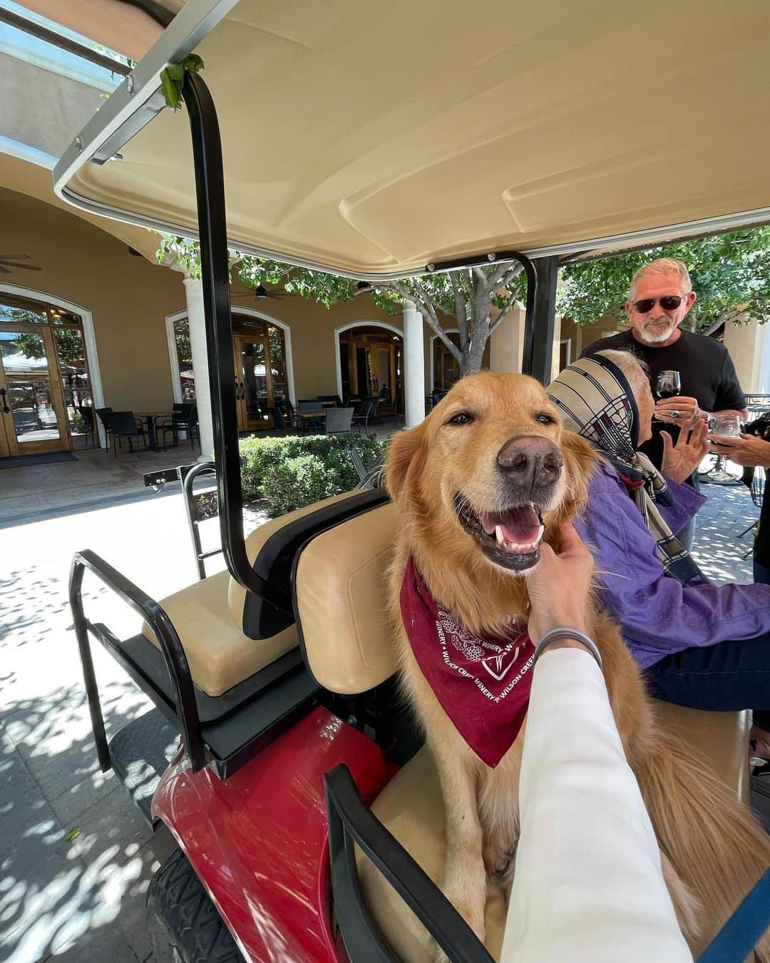 コ・ソンヒさんのインスタグラム写真 - (コ・ソンヒInstagram)「🇺🇸🍷🥂🍕🥗 #mybirthdaytrip - 1   ▪️#wilsoncreekwinery  ▪️#pontewinery  ▪️#pontevineyardinn 🏡  At #Temecula」7月5日 15時32分 - krnangel621