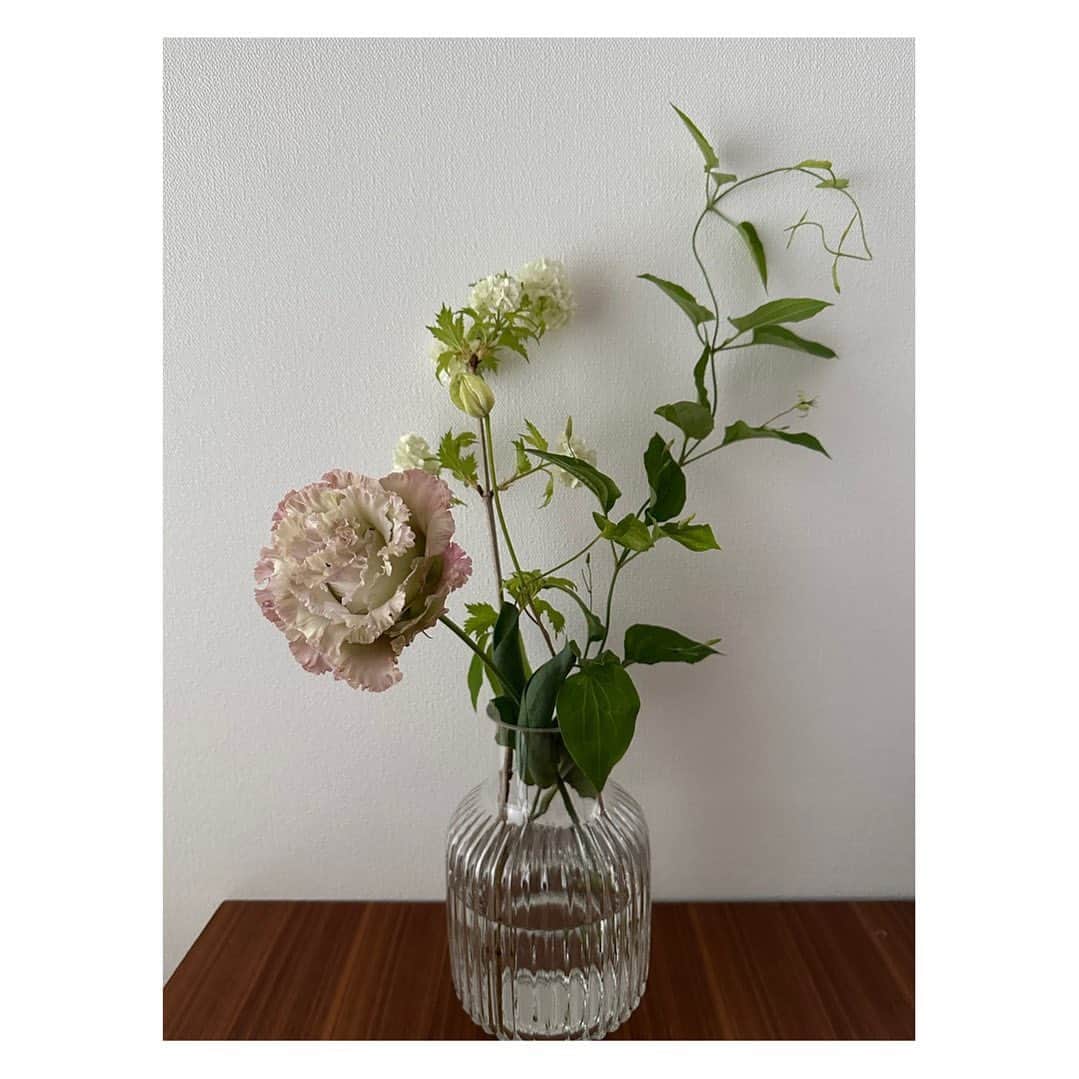 大月さゆのインスタグラム：「⁡ 「花のある生活っていいな」から 「使い勝手のいい花瓶がある生活っていいな」の領域に足を踏み入れました 特にアレンジしなくても適当に入れるだけでサマになるっていう魔法のような花瓶(こういうの探してた！) ⁡ ⁡ 花と花瓶を交互にみていた客(私)を察して、お花屋さんがドンピシャをセレクトしてくださいました ⁡ ⁡ 花瓶にばかり触れちゃったけどこのトルコキキョウ、写真じゃお伝えしづらいですが、ほんの〜りグリーン。ほんの〜りピンク(お店の方の言葉をおかりして) 本当に素敵な色です 最近の暑さと湿気をすーっと落ち着かせてくれる ⁡ ⁡ ⁡ #花瓶て意外とむずかしい 早速 #2023年下半期ベストバイ入り ⁡ ⁡ ⁡」