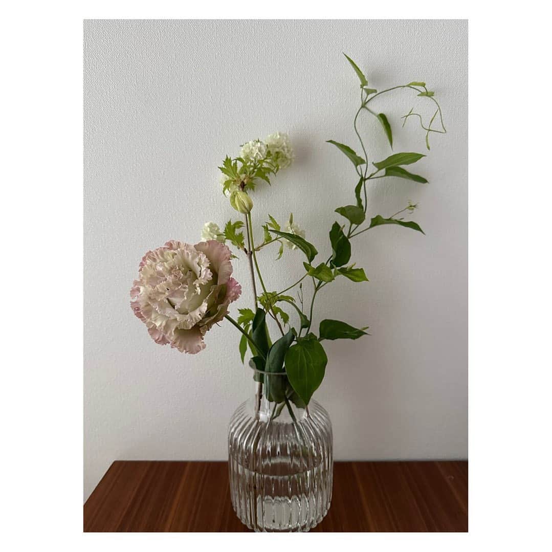 大月さゆのインスタグラム：「⁡ 「花のある生活っていいな」から 「使い勝手のいい花瓶がある生活っていいな」の領域に足を踏み入れました 特にアレンジしなくても適当に入れるだけでサマになるっていう魔法のような花瓶(こういうの探してた！) ⁡ ⁡ 花と花瓶を交互にみていた客(私)を察して、お花屋さんがドンピシャをセレクトしてくださいました ⁡ ⁡ 花瓶にばかり触れちゃったけどこのトルコキキョウ、写真じゃお伝えしづらいですが、ほんの〜りグリーン。ほんの〜りピンク(お店の方の言葉をおかりして) 本当に素敵な色です 最近の暑さと湿気をすーっと落ち着かせてくれる ⁡ ⁡ ⁡ #花瓶て意外とむずかしい 早速 #2023年下半期ベストバイ入り ⁡ ⁡ ⁡」