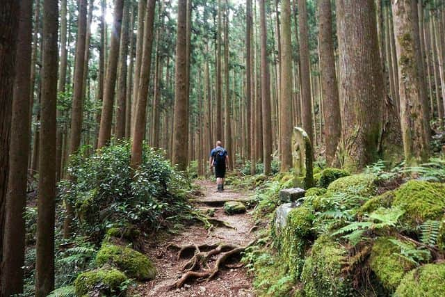 和みわかやまのインスタグラム