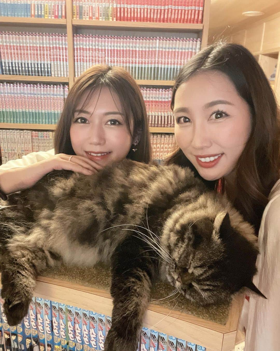 yurieさんのインスタグラム写真 - (yurieInstagram)「🐈猫カフェモカ🐈  ゆっこと猫カフェ @mocha.sinjyuku へ😻  飲み物飲み放題、漫画も読めるし、寝転べるベッドやソファーがあって清潔でとても良きでした🤭💗  あっという間の一時間😻 普通にボケーっとしてたら一生入れちゃう🤣  ゆっこと大体動物さわってる〜笑  楽しかった🤭💗 次は🐷行こうね🐖  #猫カフェmochaラウンジ新宿店  #猫カフェmocha  #猫カフェ　#PR #新宿　#新宿猫カフェ　#新宿カフェ　#ねこすたぐらむ #猫好きさんと繋がりたい  #猫部 #catstargram #catlover #kittencafe #catcafe #catcafemocha」7月5日 17時03分 - yurie808golf