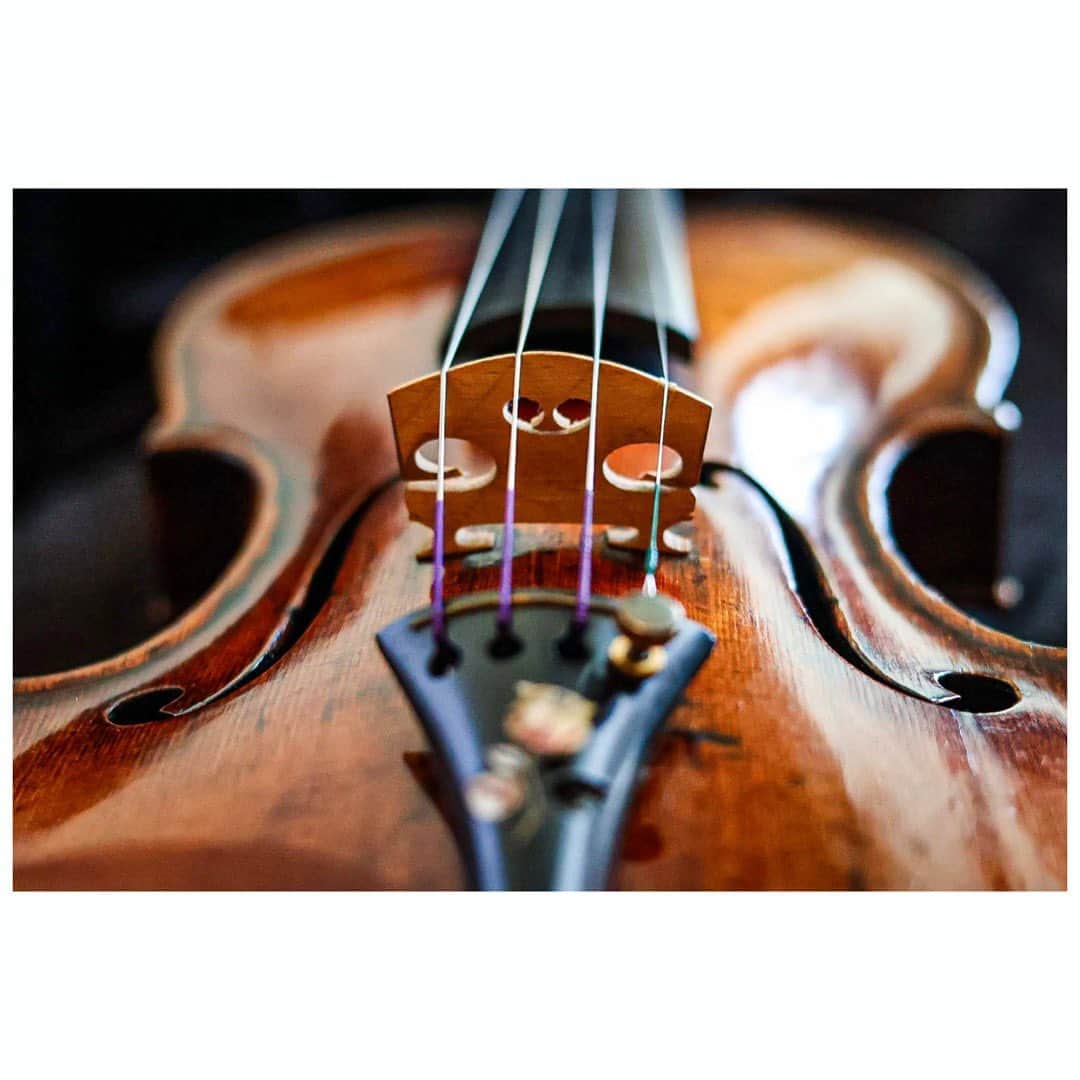 宮本笑里さんのインスタグラム写真 - (宮本笑里Instagram)「毎日、ありがとう。  #violin #ヴァイオリン #何百年経っても #つやつや #いいなぁ #羨ましい 🥹🤣」7月5日 17時38分 - emirimiyamoto