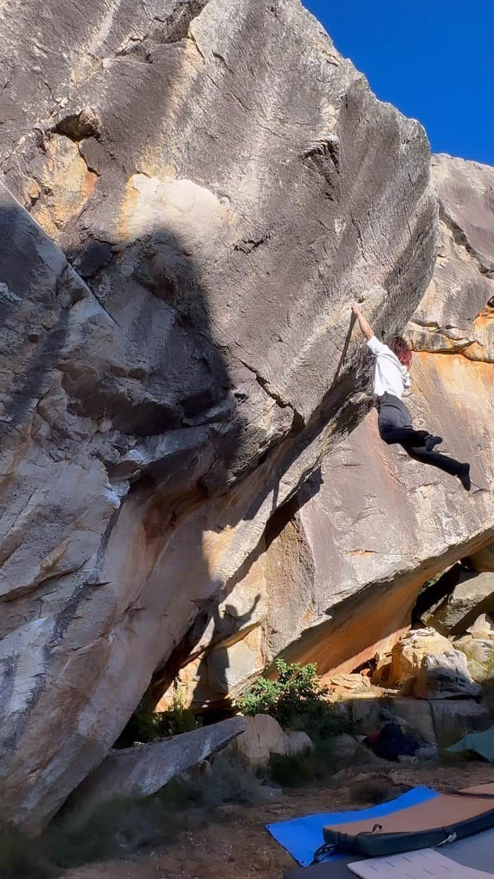 野村真一郎のインスタグラム：「Air star 8b/V13✅ 6th attempts. FA by @kilifish   #Rocklands 🇿🇦  Can’t believe that I sent “Air star”!! That line is one of my dream line because  @keenantakahashi Reel is sooo dope. At the same time as I watched his reel, I felt like I can’t make it with my short reach, but in real i did it, so i’m really psyched!!!  I’ll never forget the impact when I look up the boulder. At first, I felt it is extremely high (maybe 8m;26feet) and the distance of the one hand dyno is unbelievably far, but so cool move tho. I tried it anyway on the condition that i can’t do, but as attempts was going, I understood how I should swing my body and when the best timing to dyno is. Finally I made it to do the dyno section with those feelings. As to the dangerous section, I can say lip section was the most risky part. It’s obvious that it has huge risks to get injured If I fall, because basically all of moves are so stressful. When I looked down crash pads, i was convinced I can’t fall on the pads (and at that time i remembered i brought less pads)🤦‍♂️ However, i really wanted to send it so my mind and concentration overcome the fear. The moment to mean the difference between life and death was stunning ever✔︎✔︎✔︎ ＿＿＿＿＿＿＿＿＿＿＿＿＿＿＿＿＿＿＿＿＿＿＿＿＿＿＿＿＿＿  まさかのAir starが登れた！！ Air starは @keenantakahashi のリールがあまりにもかっこ良すぎて超憧れだったけど、さすがに自分の身長リーチじゃ厳しそうな距離感に見えてたから登れてまじで嬉しい！  実際目の前で岩を見た時の感動は忘れられない。まず、岩がデカすぎ(8メートルくらい)なのと、片手ランジの距離感が想像よりもえぐくてカッコ良すぎた。 出来ない前提で、最初はお試し的な感覚でトライしてたけど、やってる内に軌道とタイミングが分かってきて、その掴んだイメージ通りぶっ飛んでたら気がついたら左手が止まってた。 しかし、ドラマはそこだけでは終わらず。むしろやばかったのはリップ取り。まず、普通にムーブが悪いのに加えて、下を確認した時に経験上どう考えても落ちたらマット外(そもそもマットが少なかった)な事を認知したけど、登りたい気持ちと集中力がその恐怖心を上回って身体が動いてくれた。 まさに生と死を分けた瞬間で、最高に痺れたな。  @rokdo_team @monturajapan @montura_official @unparallelup @rockmasterhq_caravan @frictionlabs @project_daihold @clover_resole @hamasakichiryoin0929」