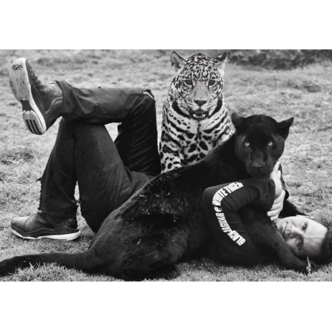 Black Jaguar-White Tiger さんのインスタグラム写真 - (Black Jaguar-White Tiger Instagram)「I’ve been telling you that The Jungle sees everything. EVERYTHING… #Eciojer」7月5日 20時21分 - blackjaguarwhitetiger