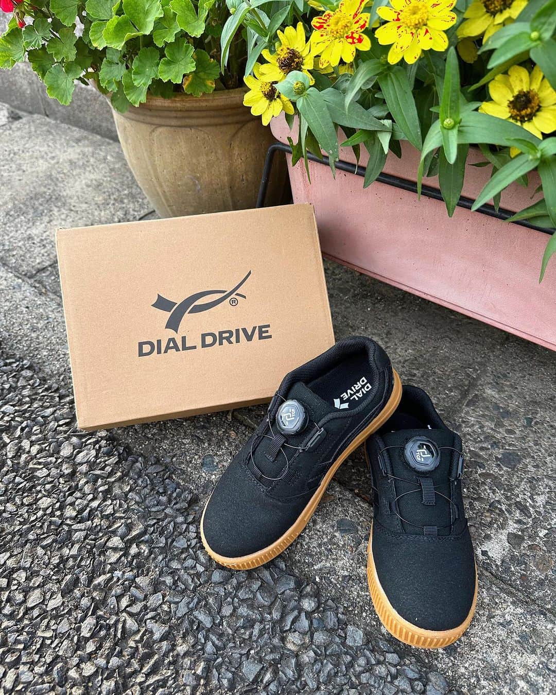 ena..*加藤 恵梨奈さんのインスタグラム写真 - (ena..*加藤 恵梨奈Instagram)「⁡ ⁡ ⁡ ⁡ ⁡ ⁡ DIALDRIVE👞の靴を長女に提供して頂きました。 ⁡ 子供の足の成長は3〜15歳で決まるみたいで 現代の子供の75%以上が浮指や偏平足などの 足裏トラブルを抱えていると言われてて 原因は、筋力不足とアーチ形成がきちんと 出来てないことなどが挙げられてるみたい！ ⁡ そこでこのら"ダイヤル式のキッズシューズ"で ダイヤルを締めて調整する事で 浮いてしまう指先もしっかりホールド⚪︎ ⁡ 凸凹した特殊な3Dインソールを搭載してて この凸凹が足裏のアーチ形成をサポートしてくれる。 ⁡ 履くだけでアーチ形成をサポートでき 運動神経の向上や怪我のリスクも軽減する 可能性もあるよ！ ⁡ 長女はダイヤル式の靴を履いて 普段の靴より履きやすいし 紐がない分時短になると感想でした👧🏽 ⁡ ⁡ ⁡ @dialdrive  #ダイヤルドライブ #リオオンラインストア #子ども靴 #キッズシューズ #三姉妹コーデ #女の子ママ #靴が好き」7月5日 20時47分 - e_n_a_p_i