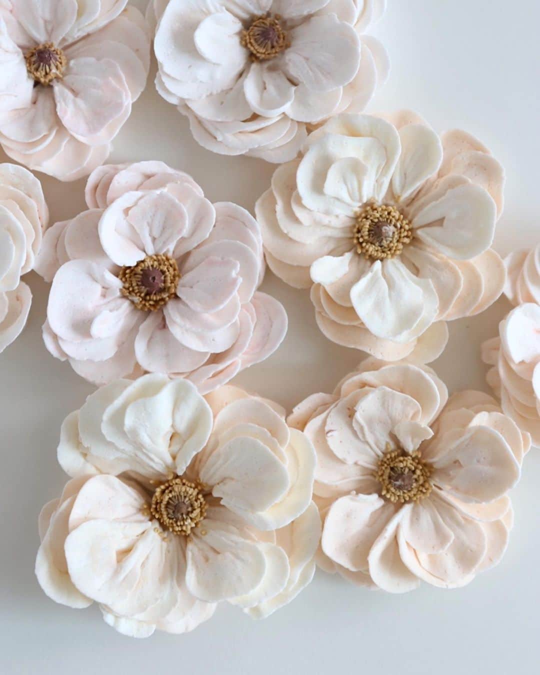 청담 수케이크 (atelier soo)さんのインスタグラム写真 - (청담 수케이크 (atelier soo)Instagram)「ㅡ  Piping master class 🌿 Italian meringue buttercream #flowercake #cake #piping」7月5日 20時50分 - soocake_ully