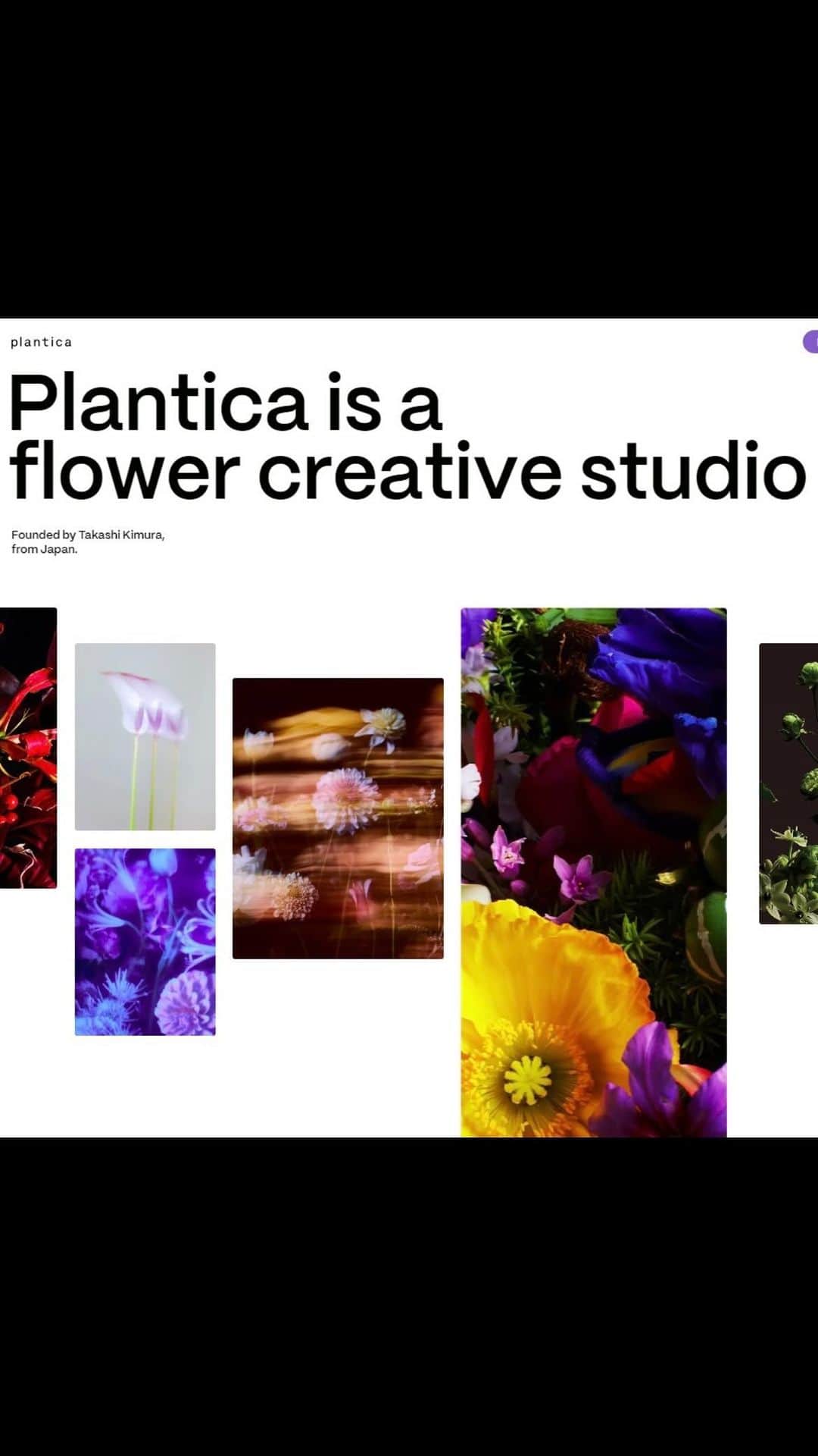 planticaのインスタグラム