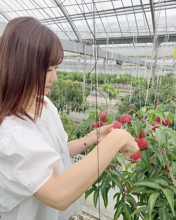 前川由希子のインスタグラム