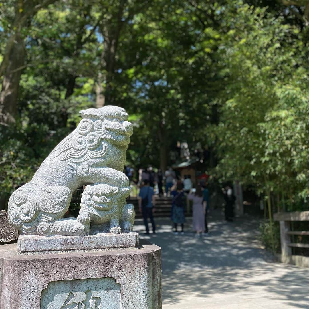 Rubyさんのインスタグラム写真 - (RubyInstagram)「📸2023.5.4 📍来宮神社 @kinomiyajinjya  🐶ペット同伴参拝可  ペットとお詣りできるありがたい神社⛩️  カフェがオシャレメニューあったり 映えスポットがあったり インスタに力入れていたりして とにかく若者がいっぱい居てびっくり。 映える神社だけど とっても気の良い神社でした。  映えるスポットは人混み行列すごかったので スルーしてきちゃいました。 並ぶの苦手です。  また今度空いている時に訪問したい。  #yorkie #yorkshireterrier #ヨーキー #ヨークシャテリア #来宮神社 #来宮神社パワースポット #来宮神社の大楠 #吉方位 #吉方位旅行」7月5日 21時34分 - ruby_the_yorkie