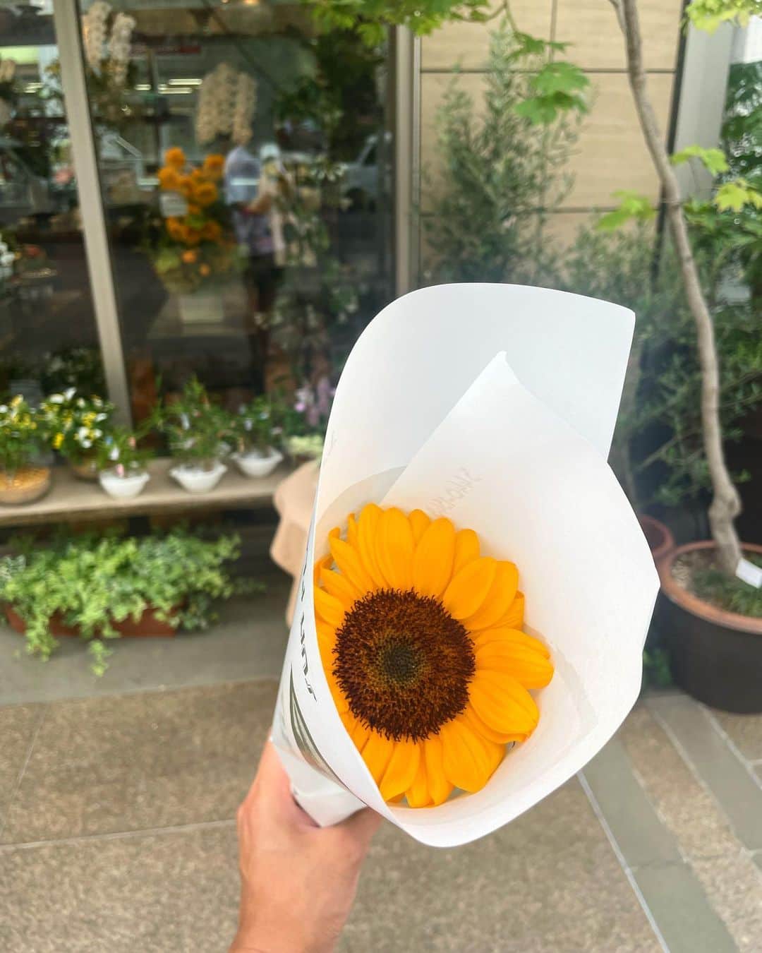 のインスタグラム：「もう夏だね☀️🌻🌕🧖🌳⌚️  #向日葵#サウナ#夏」