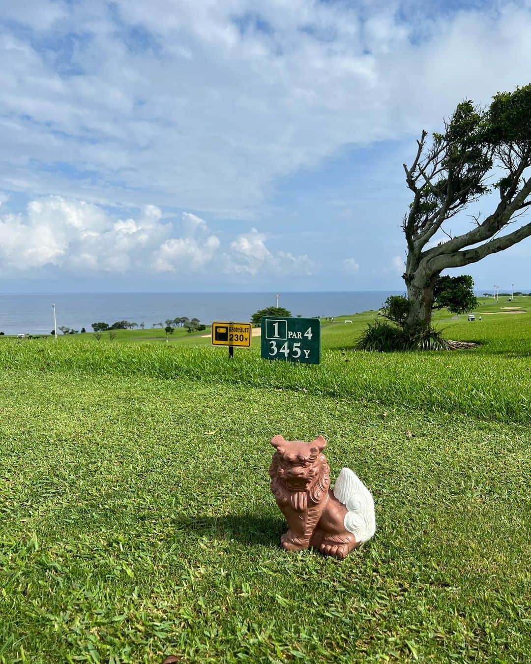 朝風れいさんのインスタグラム写真 - (朝風れいInstagram)「🩵🏝️🏌️‍♀️🏝️🩵  𝙶𝚘𝚕𝚏 𝚒𝚗 𝙾𝚔𝚒𝚗𝚊𝚠𝚊 🌈🌺  お天気はまぉまぁギリギリでした（梅雨最終日）プレー前にスコール来てた😅☔️  沖縄到着してすぐのゴルフで、海を目の前にして、めっっちゃくちゃテンション上がった❤️‍🔥ここ沖縄なんだって実感！！ ⑥は、ワンオンして喜んでた動画ですw  あとはほぼドライバー飛ばなかった日🤫  #ザサザンリンクスゴルフクラブ #サザンリンクスゴルフクラブ  #thesouthernlinksgolfclub  #golf #ilovegolf #golfwear #resurrection #ressurectiontokyo #ゴルフ #ゴルフ女子 #沖縄ゴルフ  #レザレクション #レザレクショントウキョウ #ゴルフウェア   #okinawa #japan #okinawatrip #trip #travel #沖縄 #沖縄旅行 #旅行」7月5日 21時59分 - rei.wd