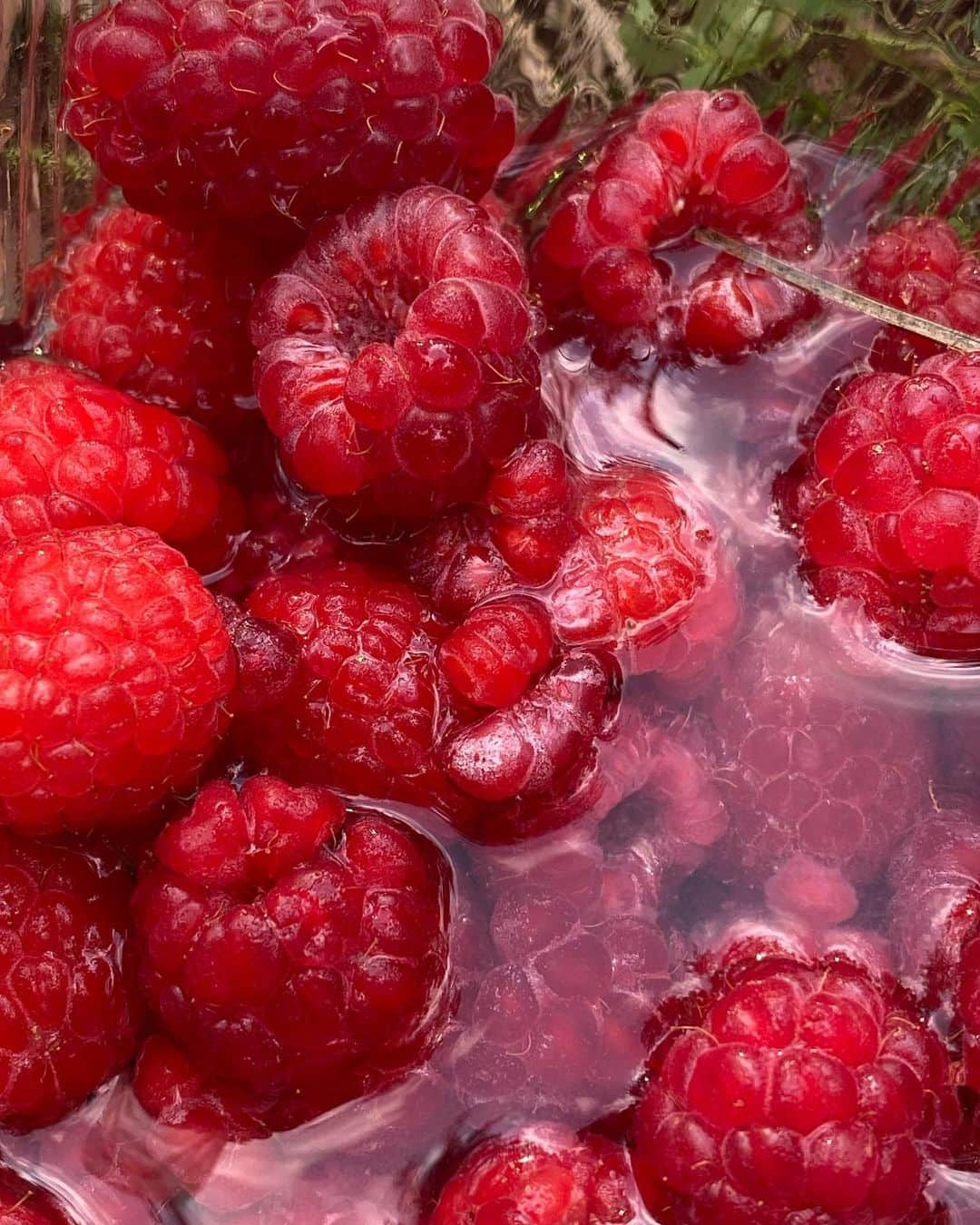 Greta Menchiさんのインスタグラム写真 - (Greta MenchiInstagram)「L'inaspettata torta che Cristian ha piantato come una sorpresa tra i boschi, la freschezza della frutta appena colta, l'innocente sorriso di un cucciolo di gigante, le bambole che si rifiutavano di essere rinchiuse in una valigia... noi, per un paio d'ore, in un affascinante esplorazione sottomarina di un lago dall'acqua gelida per recuperare gli occhiali di Cri - ricordo vivido del nostro primo incontro - scoprendo solo dopo l'immersione la sua insondabile profondità. E poi il bosco, la pioggia, la libertà... un post, un frammento del mio cuore ✨⭐️」7月5日 22時08分 - gretamenchi