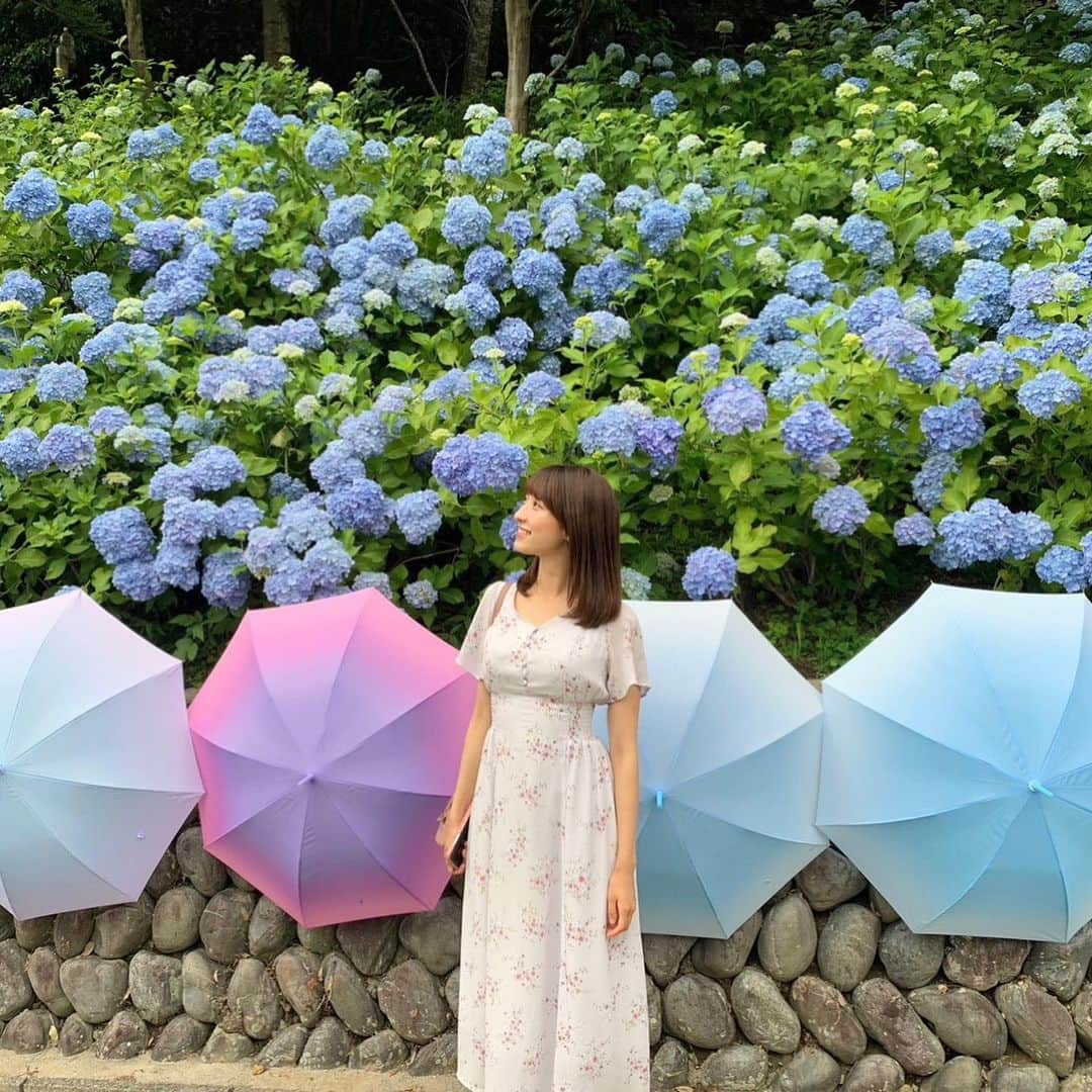 白木愛奈のインスタグラム：「梅雨空に映える紫陽花💠  湿度を好む花で、曇りや雨の日の方が色が美しくでるそうなんです！ 今年は紫陽花たくさん見に行けました〜😊  不安定な空模様が続いていますが… まもなく真夏がやってきますね！！！✨️」