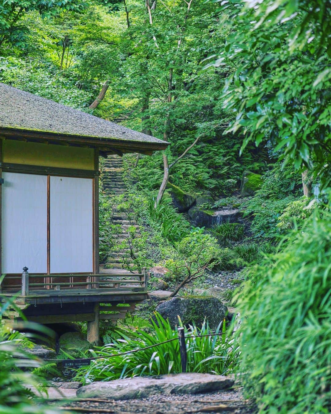 石崎剛のインスタグラム：「あの空間にこの空間 またらんね〜  #三渓園」