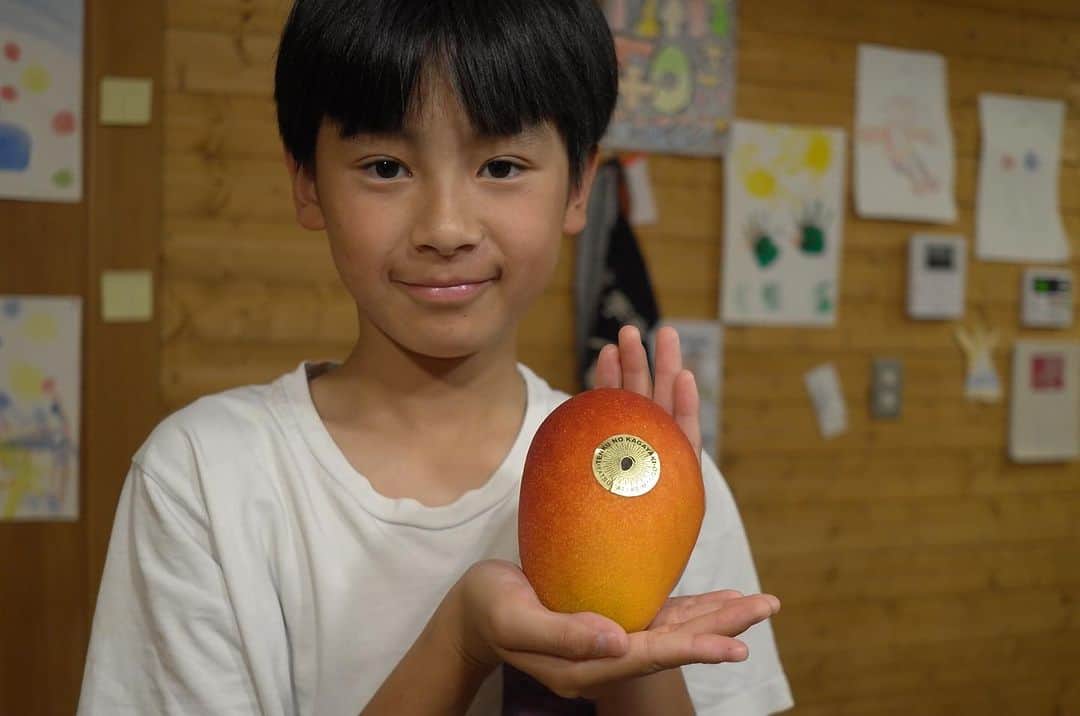 Yuya Hasegawaのインスタグラム：「🥭天空の輝き🥭  こんな旨くて幸せなマンゴー食べたの人生初でした。そりゃもう家族総出でしゃぶりついてしまいました🥭  #天空の輝き #八ヶ岳の完熟マンゴー」