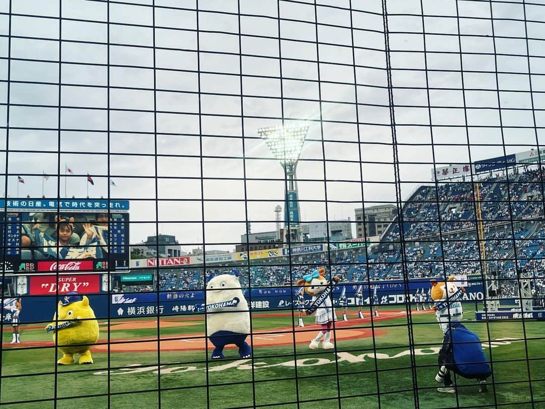 池田裕子さんのインスタグラム写真 - (池田裕子Instagram)「バウアーのサインボールもろた…！！！！  こんな幸運があっていいものか…🥹🥹」7月5日 23時02分 - kurimushiyoukan