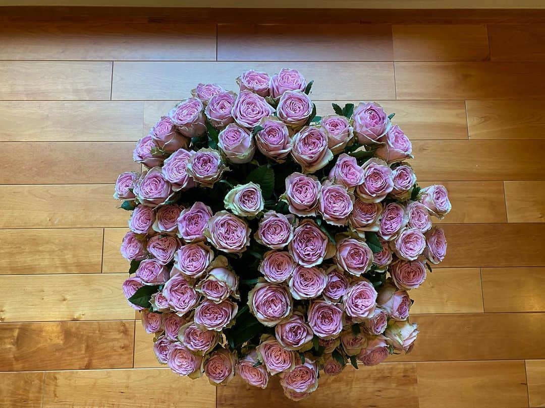 西川忠志さんのインスタグラム写真 - (西川忠志Instagram)「花束  素敵だなぁ。  見惚れてしまう。  感謝 西川忠志」7月6日 0時17分 - nishikawa_tada
