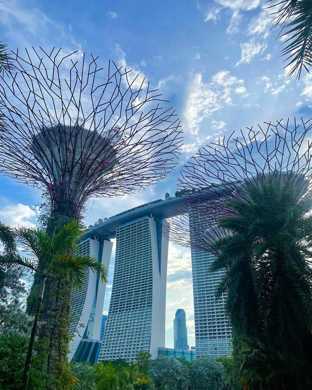 yuco_yoshidaのインスタグラム：「ガーデンズバイザベイ🌿 この植物園、とにかく広かったー！50mもある人工大木にいろんな植物が巻きつけられててすごいスケールやった☺️ 中の公園の芝生で寝転がって休憩してたらエビフライのパン粉並みに背中じゅう草だらけになって、はらっても全然取れず。爆 マリーナベイサンズのルーフトップバーで少し飲もうと思ってたけどさすがに草衣女は行ったらあかん場所やし諦めた🤣🤣🤣ほんま何してるん私wwアホすぎてひとりでずっと笑ってた😂 ・ ・ 一旦ホテル戻ってシャワーで草を落として← ななさんオススメのお店で テラス席でトカゲに見守られながら小籠包食べて🥟😂 夜は噴水ショーとマーライオン見に行ったけどどちらもカオスすぎてすぐ帰宅😇マーライオンは世界3大ガッカリ観光名所らしい。(小声) 一日中観光で色々回れてすごい充実感やったなぁ♡ ・ ・ #マリーナベイサンズ  #マーライオン公園  #ガーデンズバイザベイ  #handinhandbeijingrestaurant」