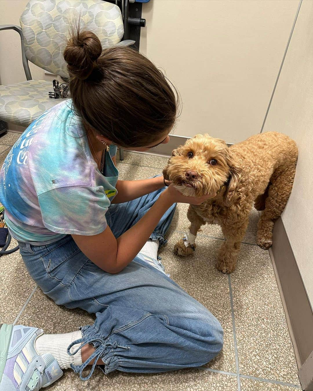 テイラー・ヒルさんのインスタグラム写真 - (テイラー・ヒルInstagram)「Last Wednesday we took Tate back to the emergency room because he seemed to be feeling pretty sick again. He was very lethargic, not moving and it seemed like he was having difficulty breathing. They admitted him back into the ICU and his doctors told us the cancer was progressing despite his chemotherapy treatments. His kidneys took another big hit and continuing with his treatment was no longer an option. He wasn’t strong enough and regardless of the cancer, because of his kidneys, he was not able to go on. I could tell he was in a lot of pain and really wasn’t feeling good. We ultimately had to make the very difficult decision to let Tate go. We checked him out of the hospital on Thursday and took him home so we could be with him and we were able to have a doctor come over to our apartment on Friday to help us say goodbye in a safe space where Tate knew he was only with the people who love him most. Tate to me is more than just dog, we had a very special bond as I’m sure so many people can relate to. This experience with cancer and having to say goodbye to Tate so soon and so quickly has been pretty devastating. I’m so grateful to him for pushing through for our wedding and really trying to get better, he gave us another month together and I cherish that time immensely. I know Tate was loved by so many people and I can feel that love everyday and it makes me still feel close to him. I miss him so much, I still call out his name sometimes thinking he’s there. He was truly apart of me and I feel like I’m missing a body part without him. Thank you to everyone at the Schwarzman Animal Medical Center in New York for fighting for Tate and taking such good care of him. I wouldn’t have gotten the time I had with him if it wasn’t for them. And thank you to everyone for loving Tate so strongly for the wonderful 9 years he was with us. He will always live on forever because he’s in the hearts of so many people. Rest in peace my beautiful little angel. You are the goodest boy ✨」7月6日 0時32分 - taylor_hill