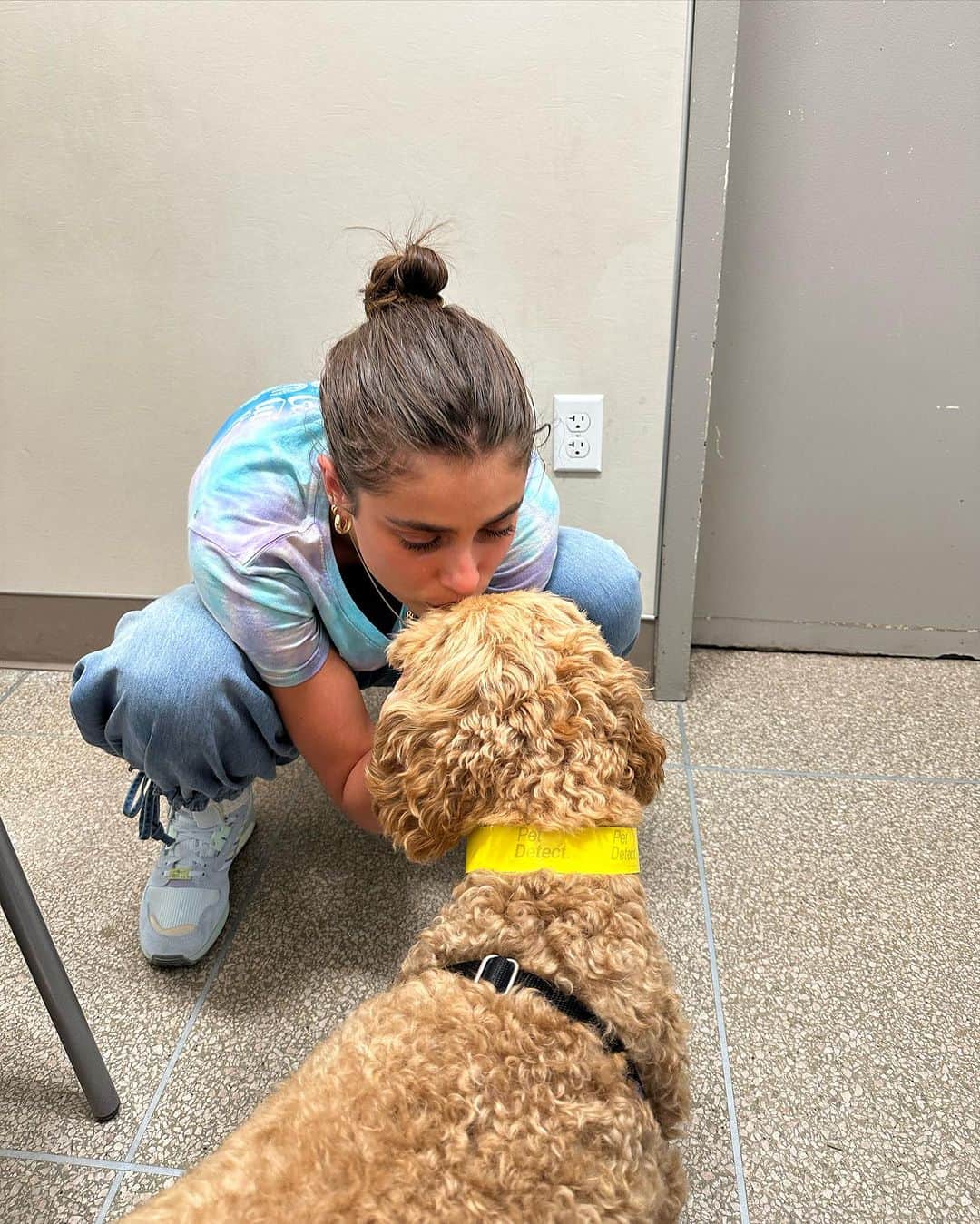 テイラー・ヒルのインスタグラム：「Last Wednesday we took Tate back to the emergency room because he seemed to be feeling pretty sick again. He was very lethargic, not moving and it seemed like he was having difficulty breathing. They admitted him back into the ICU and his doctors told us the cancer was progressing despite his chemotherapy treatments. His kidneys took another big hit and continuing with his treatment was no longer an option. He wasn’t strong enough and regardless of the cancer, because of his kidneys, he was not able to go on. I could tell he was in a lot of pain and really wasn’t feeling good. We ultimately had to make the very difficult decision to let Tate go. We checked him out of the hospital on Thursday and took him home so we could be with him and we were able to have a doctor come over to our apartment on Friday to help us say goodbye in a safe space where Tate knew he was only with the people who love him most. Tate to me is more than just dog, we had a very special bond as I’m sure so many people can relate to. This experience with cancer and having to say goodbye to Tate so soon and so quickly has been pretty devastating. I’m so grateful to him for pushing through for our wedding and really trying to get better, he gave us another month together and I cherish that time immensely. I know Tate was loved by so many people and I can feel that love everyday and it makes me still feel close to him. I miss him so much, I still call out his name sometimes thinking he’s there. He was truly apart of me and I feel like I’m missing a body part without him. Thank you to everyone at the Schwarzman Animal Medical Center in New York for fighting for Tate and taking such good care of him. I wouldn’t have gotten the time I had with him if it wasn’t for them. And thank you to everyone for loving Tate so strongly for the wonderful 9 years he was with us. He will always live on forever because he’s in the hearts of so many people. Rest in peace my beautiful little angel. You are the goodest boy ✨」