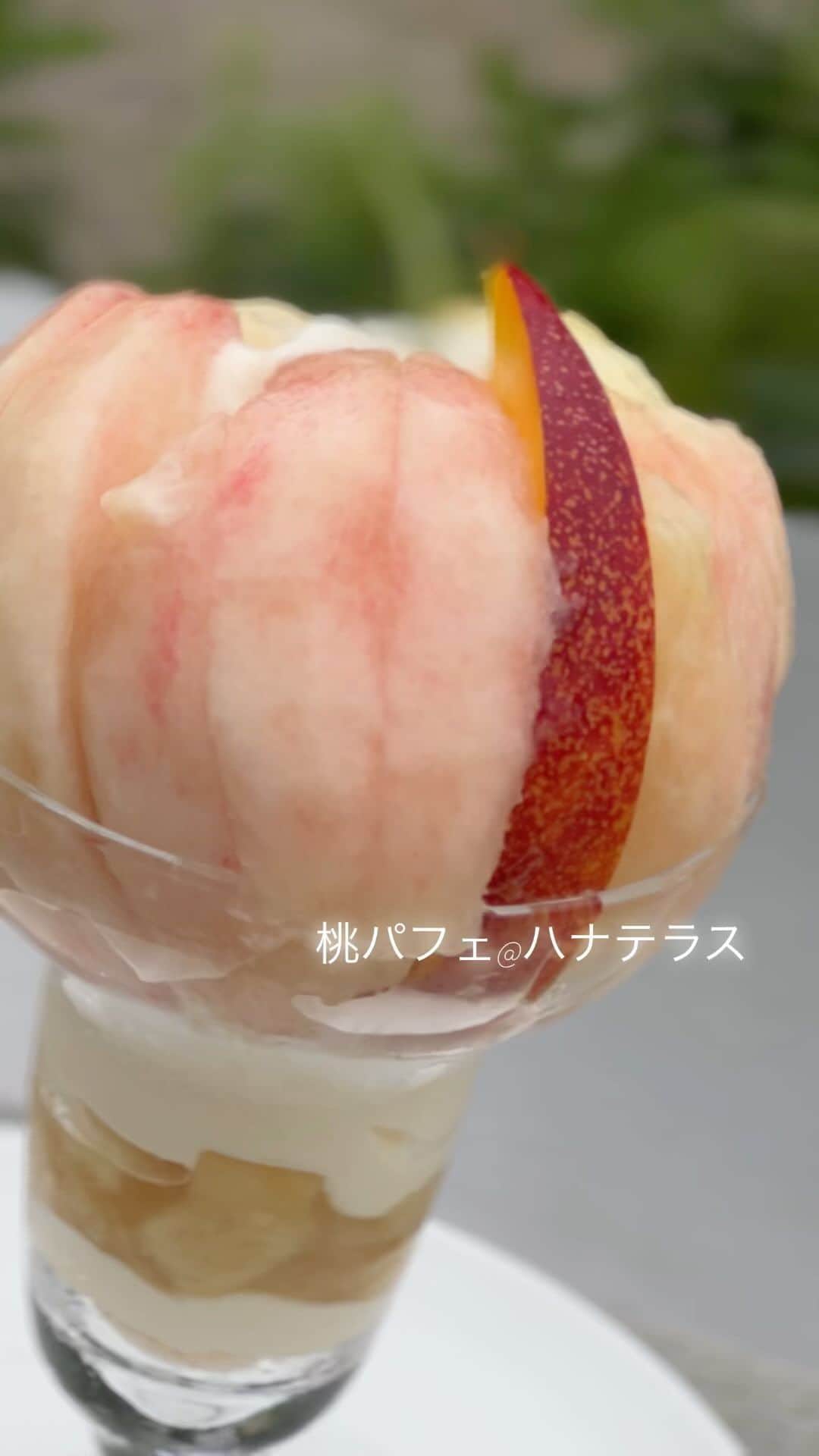 弓月ひろみのインスタグラム：「山梨の富士大石ハナテラスに行ってきたよ✨桃パフェ美味しかったー❤️  今の季節の桃は、柔らかくてジューシーな日川白鳳。真ん中の赤いのは硬めのネクタリン！桃大好きだから今年もたくさん食べるぞー❤️  @budoya_kofu_hc」