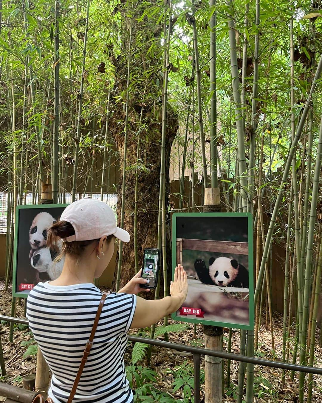 キム・ガウンのインスタグラム：「푸바오 실물영접 🐼 실물로보니 더 귀엽구나🫶🏻 바오가족 건강하고 행복해야해 💕 푸바오야 널 데려올순없어서  키링이라도 데려왔어…🐼 넌 우리의 영원한 아기판다야❤️」