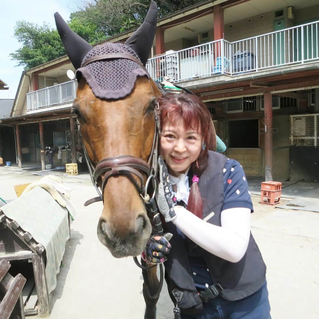 宇月田麻裕さんのインスタグラム写真 - (宇月田麻裕Instagram)「6/28　#乗馬日記 「さくっとね」 #フレディー レッスンは、フレちゃんこと「フレディ」＆Ｈ先生   6/28に書いています。     6/28　相棒は　#フレディー | 宇月田麻裕オフィシャルブログ「Happiness Factory」Powered by Ameba (ameblo.jp)   ふれちゃん眠そう。  #ディープインパクト産駒なので、 腰高で後肢が長い。 反動は高く、やや後方よりで乗ります。 少しでも前乗りになると常歩に落ちてしまう。  暑かった～😱　あちこち保冷剤つけて騎乗。 馬場の端は砂が削れているので避けて乗りましたが、  どうしても端にいってしまう～。  サクッと集中して乗ってサクッと終わるのが🐴のためにいいとのことです(^^)  乗馬日記、次回に続く。     #ディープインパクト産駒  #アイルドフランス産駒  #ライズアゲイン     ライズアゲイン | 競走馬データ - netkeiba.com」7月6日 1時11分 - mahiro_utsukita