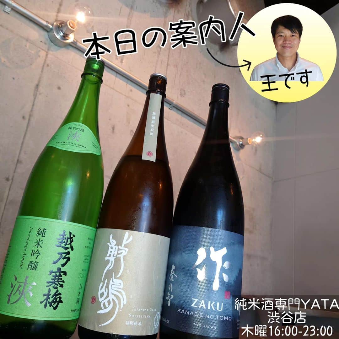 純米酒専門八咫 渋谷店のインスタグラム：「本日の案内人  台湾から新スタッフ!!  日本在住10年目。 国際利き酒師を持ち、日本語も堪能な王が皆さんをお待ちしております🤗  16:00開店です！  『#越乃寒梅』浹 純米吟醸(新潟) 『#敷嶋』特別純米 夢吟香 無濾過生原酒(愛知) 『#作』奏乃智 純米吟醸(三重)  #日本酒バー #渋谷グルメ #渋谷日本酒 #渋谷バー #渋谷立ち飲み #渋谷一人飲み #渋谷デート #渋谷駅」