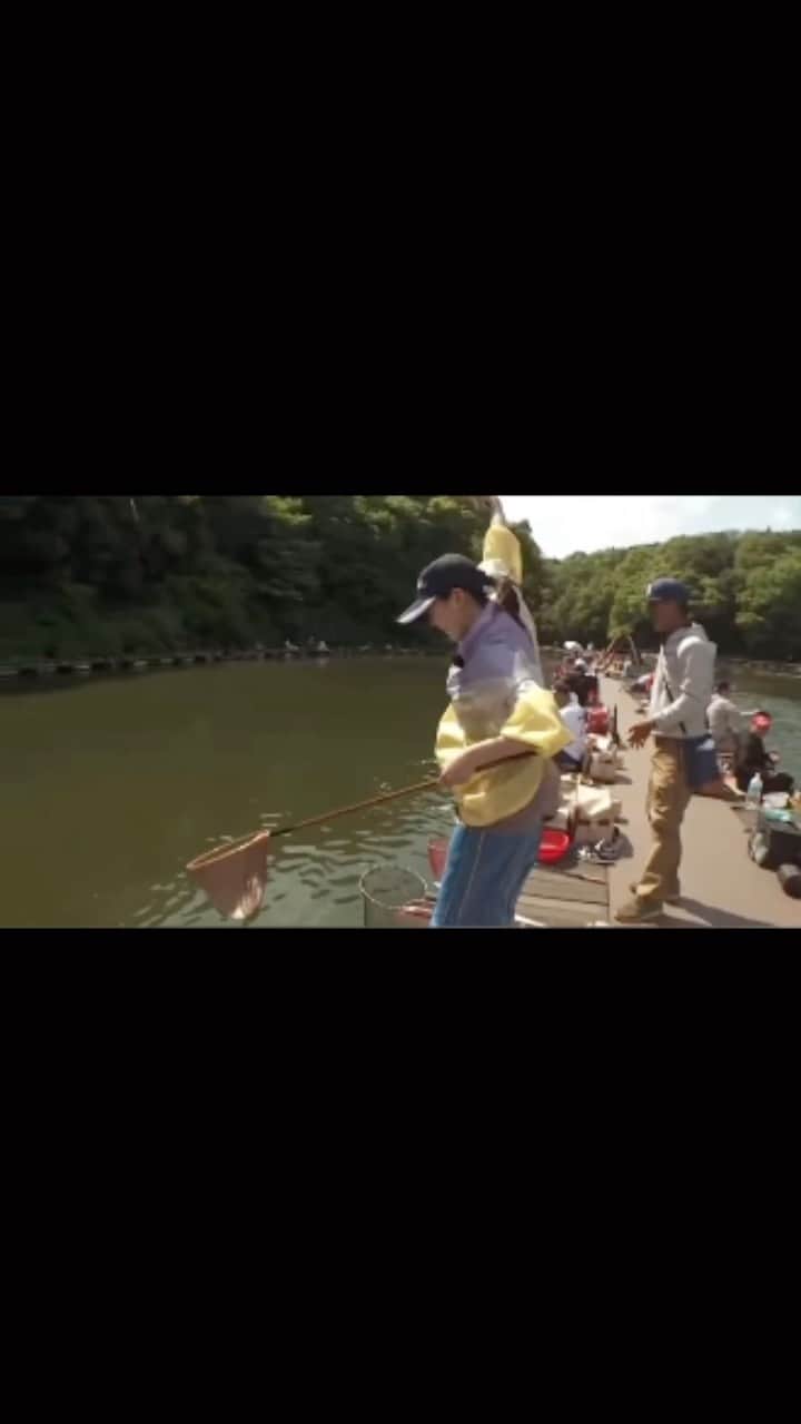 香月ハルのインスタグラム：「この瞬間があるからヘラブナ釣りはたまらんのよ！ #へらぶな釣り #九ちゃんフィッシング」
