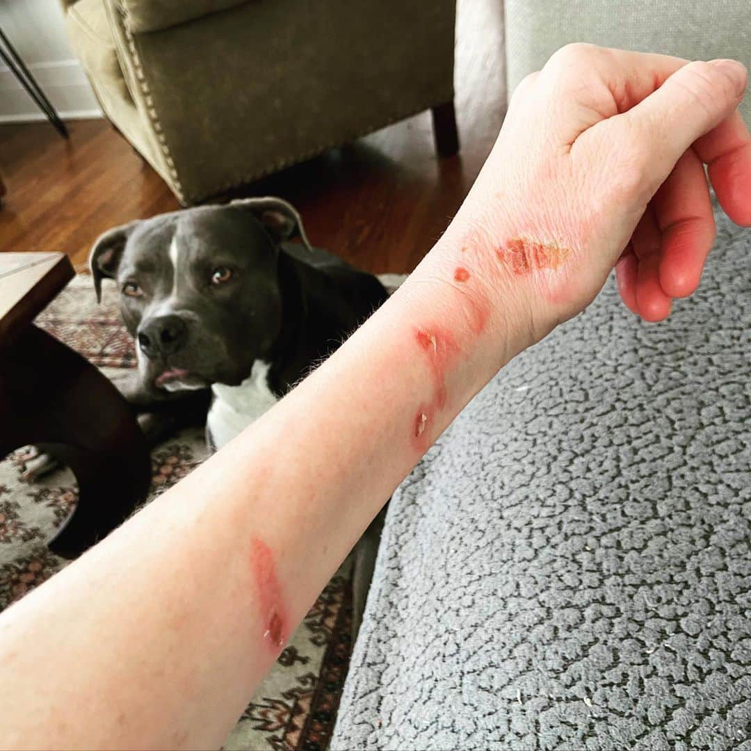 のインスタグラム：「Cooking; don’t try this at home. But, in my own defense, I did save a roasted chicken from hitting the floor. And it WAS delicious.」
