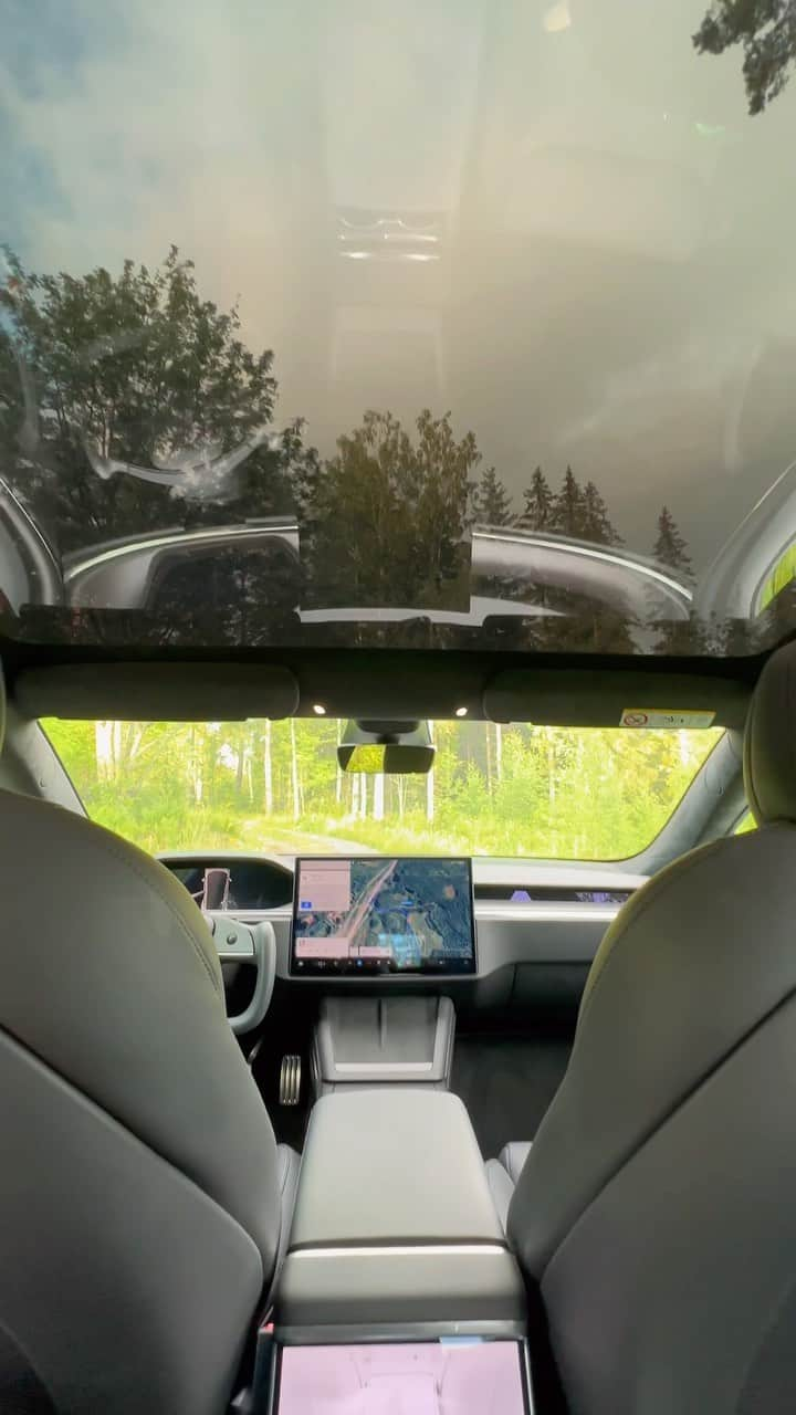 Teslaのインスタグラム：「Glass roof makes your Tesla feel like it’s part of the forest 🌲」