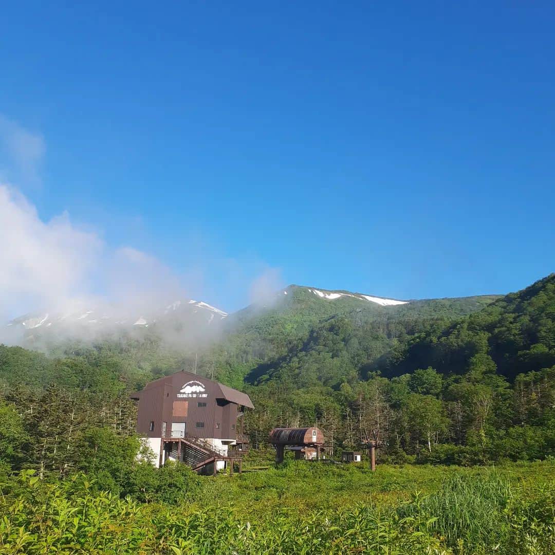 栂池高原スキー場さんのインスタグラム写真 - (栂池高原スキー場Instagram)「おはようございます。 7月6日 つがいけゴンドラの朝一情報です。  天候　晴れ 気温　17℃ 風速　0m/s  昨夜の雨も上がり、青空です。  ぜひ、つがいけにお越しくださいませ！ ご来場お待ちしております。  #中部山岳国立公園  #栂池自然園  #北アルプス #白馬山麓 #長野県 #白馬つがいけWOW！ #白馬 #栂池高原スキー場 #栂池高原 #栂池 #ロープウェイ #つがいけマウンテンリゾート  #tsugaike #hakuba #絶景 #子連れ #家族の時間 #ファミリー #こどもとおでかけ  #トレッキング #キャンプ #ドッグラン #アクティビティ #水芭蕉 #白馬三山」7月6日 7時05分 - tsugaike_kogen