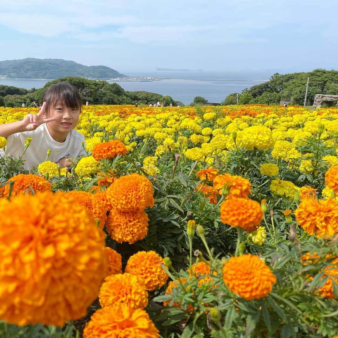 秋本ゆかりさんのインスタグラム写真 - (秋本ゆかりInstagram)「移動中にここぞとばかりに連投しております😅  午前中に次女のランドセルを注文し、それから能古島にお出かけした日。  思い立ってすぐに行ける島✨  能古島アイランドパークはマリーゴールドが咲き誇り、オレンジ🧡と黄色💛がとってもキレイでした🌼 自由に摘み取って帰れるのも嬉しい😊  他にもパーク内には紫陽花とかいろんなお花が✨  これだけの広い土地をいつもきれいに保つのは本当に大変だろうに、、と行くたびに有難い気持ちになる🥺  海に向かって乗る大きなブランコもハイジみたいで楽しかったね💓 暑かったけど💦アスレチックがあるから子どもも大はしゃぎでした👏  ソフトクリーム🍦もおいしかった♪  . #福岡#能古島#能古島アイランドパーク#マリーゴールド#大きなブランコ」7月6日 8時37分 - akimoto_yukari