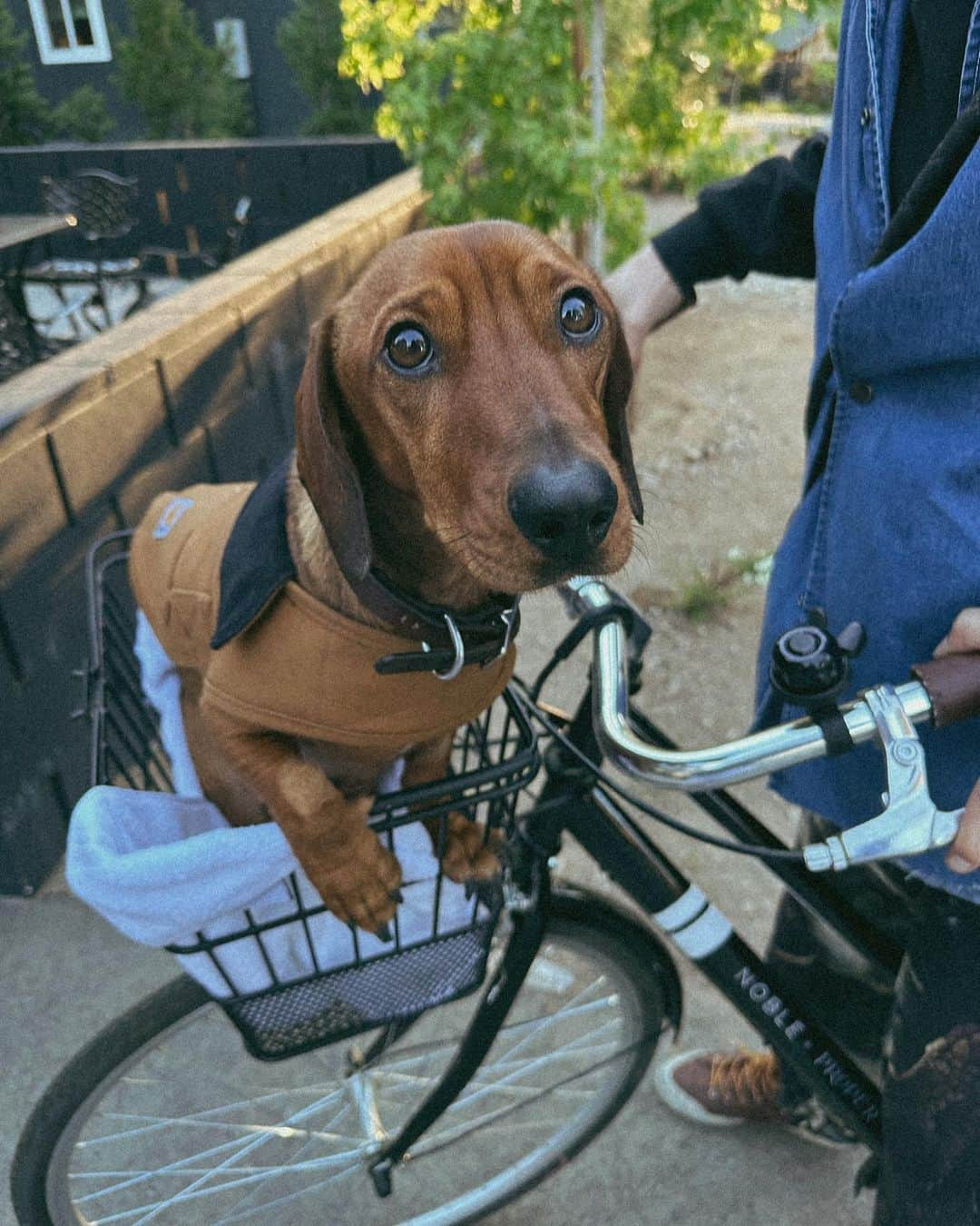 Acacia Brinleyさんのインスタグラム写真 - (Acacia BrinleyInstagram)「Didn’t even eat a hot dog on national hot dog day」7月6日 8時47分 - acaciakersey