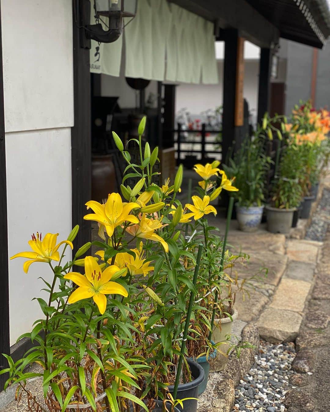 飛騨高山 旅館あすなろのインスタグラム