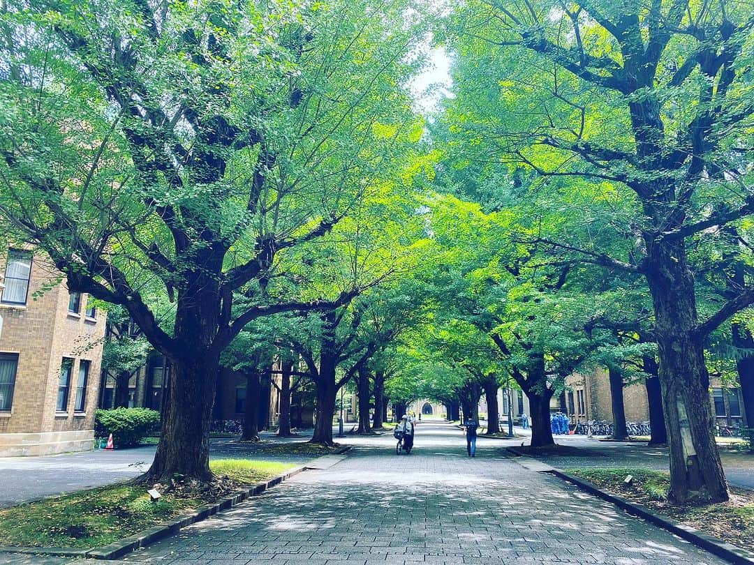 角田陽一郎さんのインスタグラム写真 - (角田陽一郎Instagram)「朝はまだ涼しい。キャンパスの緑は清々しい。今週来週で夏学期も終わり。そして夏休み。  #角田陽一郎 #今日の陽気 #plan36 #人生はロケとロケハンである #複合人文学 #compositehumanities #おはようございます」7月6日 10時22分 - kakuichi44