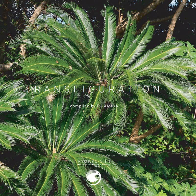 DJ AMIGAのインスタグラム：「「TRANSFIGURATION」 compiled by DJ AMIGA  奄美大島にあるアートヴィラ"琉球ヴィラ”のBGMとして制作されたコンピレーションアルバム「TRANSFIGURATION」奄美大島の移ろいやすい気候がテーマ。  A compilation album produced as background music for the art villa "Ryukyu Villa"on Amami Oshima. The theme is the changeable climate of Amami Oshima.  ちょうど1年前にリトリートツアーで行った奄美大島。ツアーの後に1泊させてもらったヴィラがこの「琉球ヴィラ」 @ryukyu_villa   海から歩いて帰って来れて、玄関の横で足やシュノーケリンググッズを洗い流したらそのままバスルームへ入れる動線。シャワーを浴びたら美しいアートやインテリアに囲まれたリビングでゆっくり、庭に出て詰んだハーブでお料理。広い広い芝生の庭でファイヤーピットを眺めながらBBQ。 朝は鳥の声で目覚めて、庭でヨガ🧘‍♀️  島で暮らすように過ごせるこの琉球ヴィラのBGMを作りました。南国の空気のようなアンビエントです。滞在中は、真空管のアンプで聴くことができます。滞在後は自由にお持ち帰りください。  #琉球ヴィラ #奄美大島 #bgm #djamiga #チルアウト」