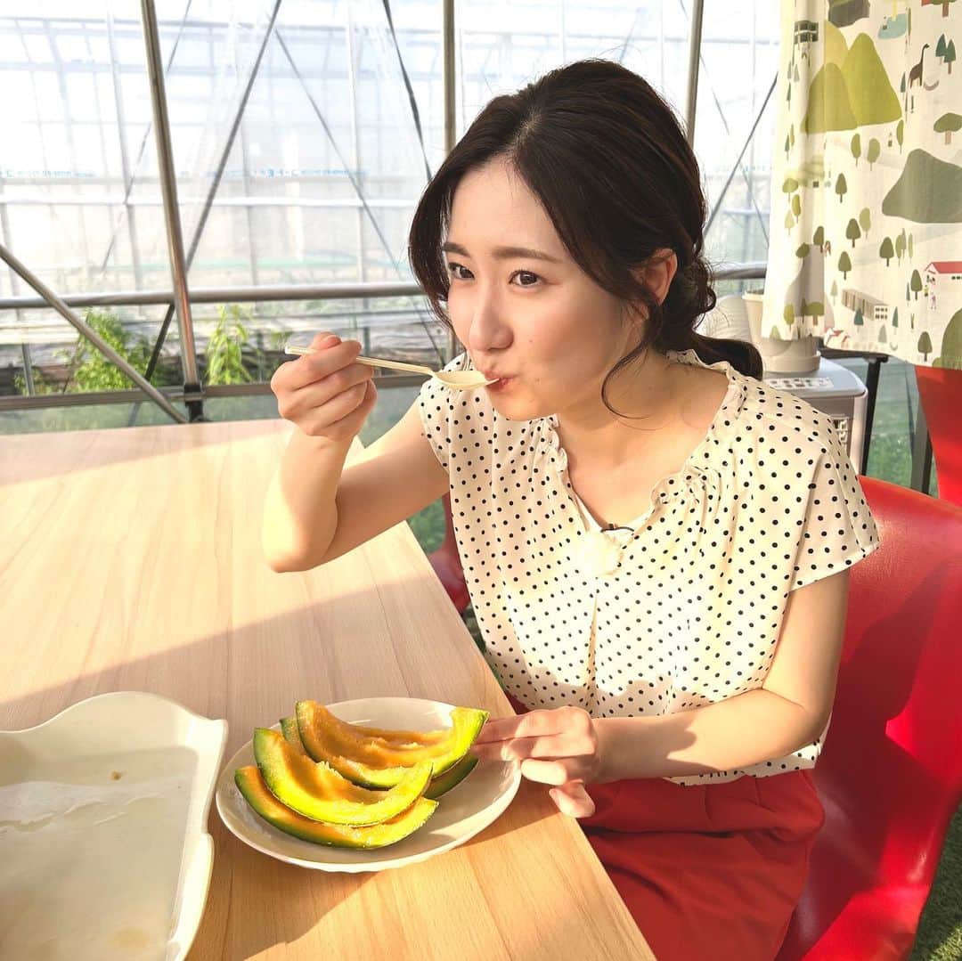 世永聖奈さんのインスタグラム写真 - (世永聖奈Instagram)「🍈 ⁡ ⁡ な つ の お も ひ で ⁡ ⁡ #北海道 #北海道グルメ #夕張メロン #バリバリ夕張 #夏の思い出 ⁡」7月6日 12時00分 - hbc_yonagasena