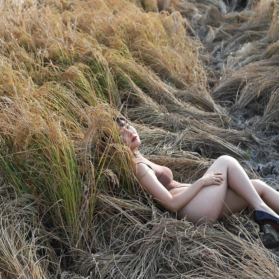 Photographer_善甫(선보)のインスタグラム：「만추 晩秋  2022 Late Autumn」
