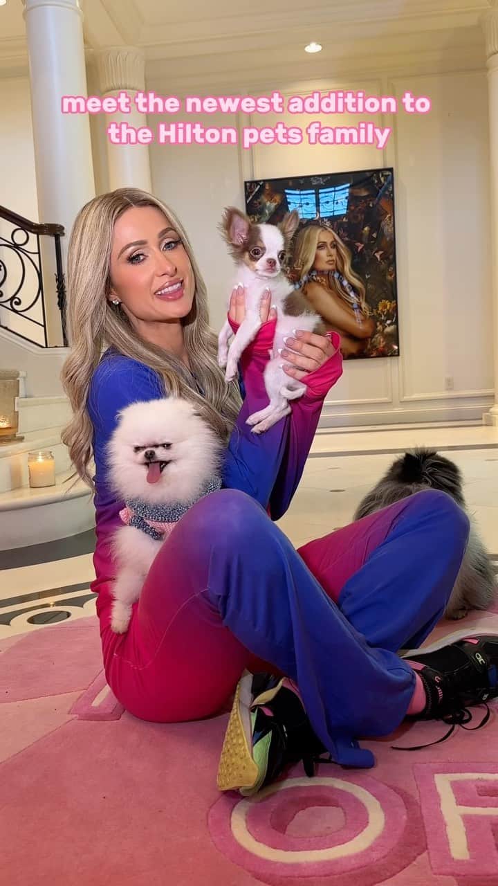 パリス・ヒルトンのインスタグラム：「Absolutely in love with my new puppy!😍🐶 He is so adorable and sweet!😇 So special that he’s actually related to my angel Harajuku Bitch who passed earlier this year.👼🐶 It’s like having a little piece of her still here with me🥹💕 What should I name my new baby?💙 @HiltonPets」
