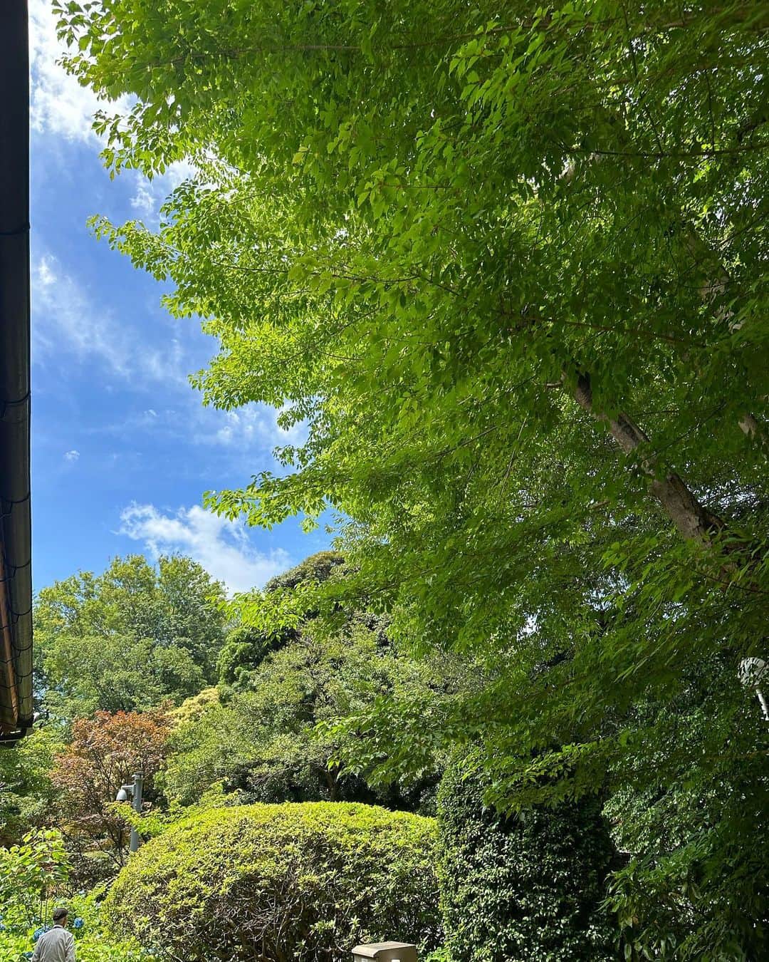 福田淳子さんのインスタグラム写真 - (福田淳子Instagram)「先月、友人の桃風さんのお誘いで、お茶の水女子大学表千家茶道部が主催する水無月茶会へ行って参りました。場所は上野の東京国立博物館の北側庭園。ここには５つのお茶室があって、お庭を散歩するだけでもすてきな気分になれます。お天気にも恵まれ、緑がさわさわで、木々もお花も美しくとても優雅な時間を過ごしました。 ⁡ お茶室ごとに主催が変わり、現役の茶道部生が切り盛りする様子はその初々しさがキラキラで眩しかったです。お抹茶の味もそれぞれ違って、あわせるお茶菓子も様々でした。お茶会は一期一会。初夏のすばらしい時間でした。 ⁡ この日のお着物は単衣の色無地に遠方連山の名古屋帯で。お着物の方がたくさんいらして、目にも見目麗しい時間でした。  #水無月茶会  #お茶会 #お茶会コーデ #色無地 #着物 #着物コーディネート」7月6日 22時12分 - junjunfukuda