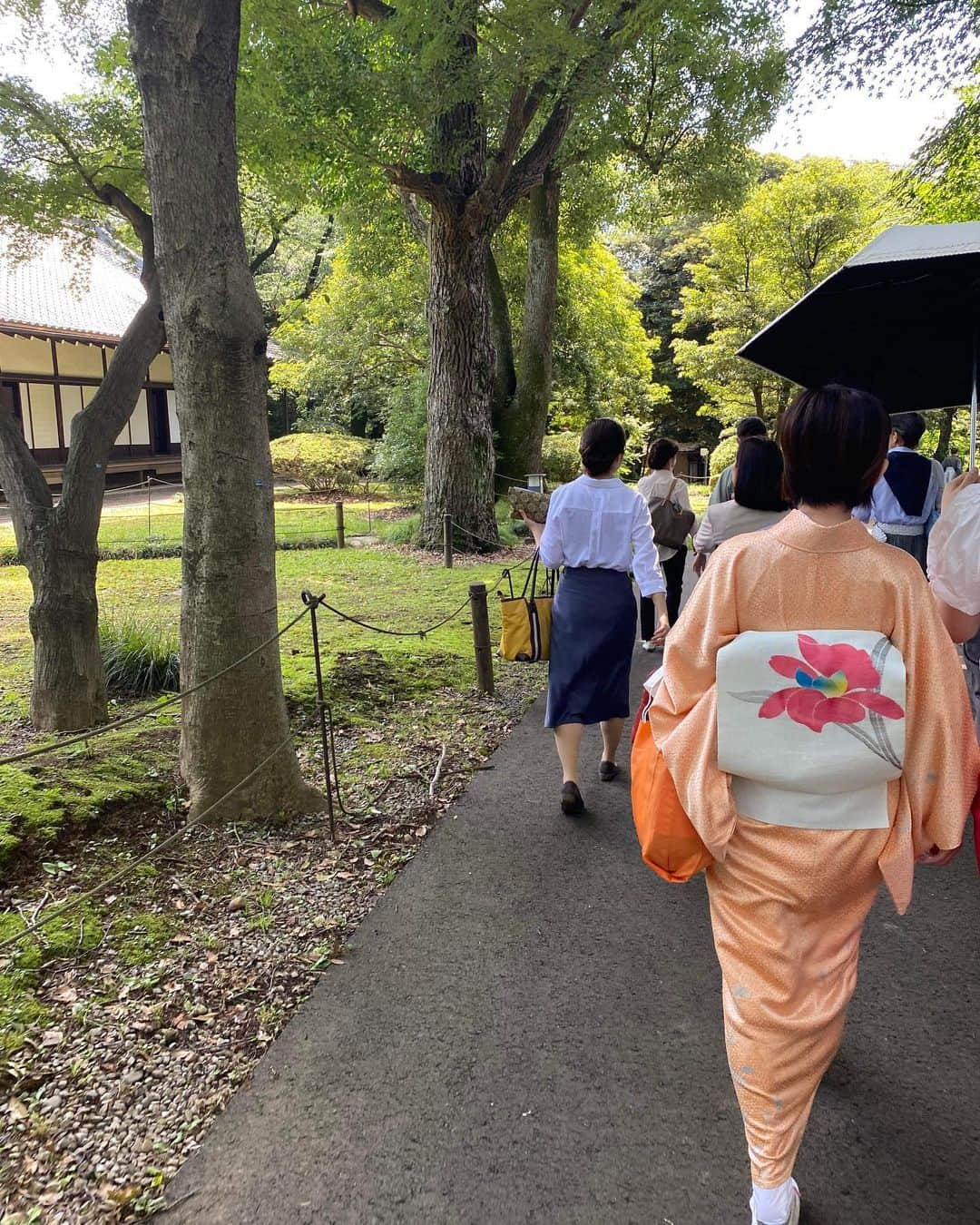 福田淳子さんのインスタグラム写真 - (福田淳子Instagram)「先月、友人の桃風さんのお誘いで、お茶の水女子大学表千家茶道部が主催する水無月茶会へ行って参りました。場所は上野の東京国立博物館の北側庭園。ここには５つのお茶室があって、お庭を散歩するだけでもすてきな気分になれます。お天気にも恵まれ、緑がさわさわで、木々もお花も美しくとても優雅な時間を過ごしました。 ⁡ お茶室ごとに主催が変わり、現役の茶道部生が切り盛りする様子はその初々しさがキラキラで眩しかったです。お抹茶の味もそれぞれ違って、あわせるお茶菓子も様々でした。お茶会は一期一会。初夏のすばらしい時間でした。 ⁡ この日のお着物は単衣の色無地に遠方連山の名古屋帯で。お着物の方がたくさんいらして、目にも見目麗しい時間でした。  #水無月茶会  #お茶会 #お茶会コーデ #色無地 #着物 #着物コーディネート」7月6日 22時12分 - junjunfukuda