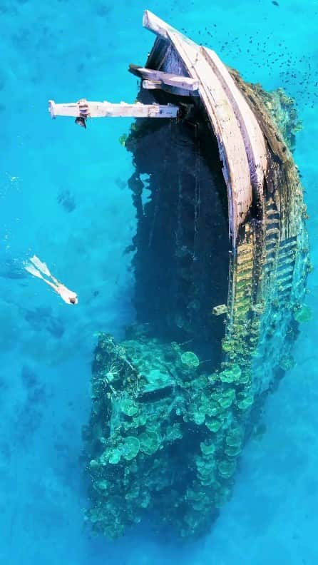 Padgramのインスタグラム：「There’s more beyond the reef ⚓️ . . Credits: 🎥@yazutheviking . #pgdaily #pgstar#pgcounty #sea #planetgo#planet #planetearth #amazing #awesome #nature  #shipwreck #freediver #freediving #visitmaldives」